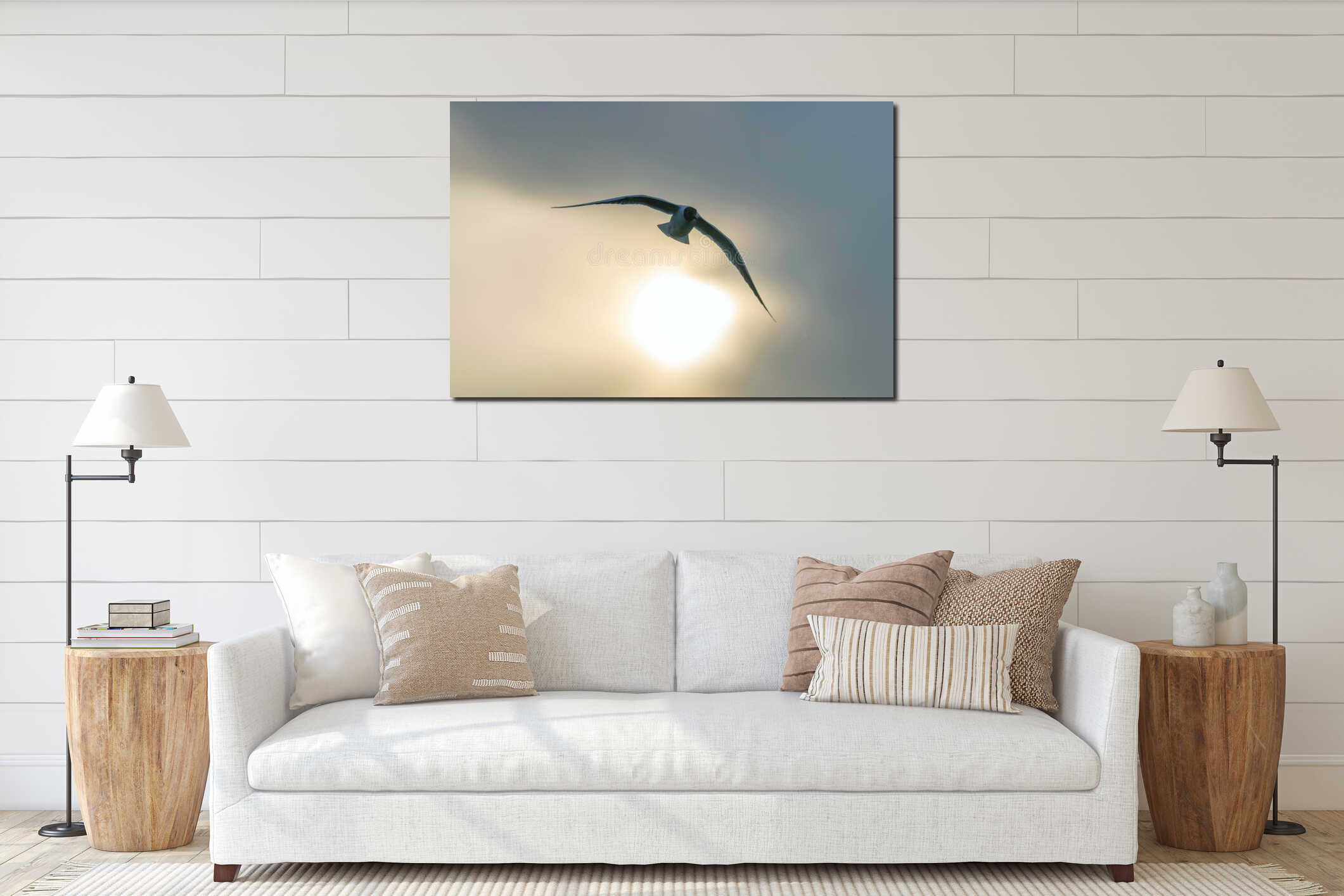 The Black Headed Gull Flight Chroicocephalus ridibundus interior mockup