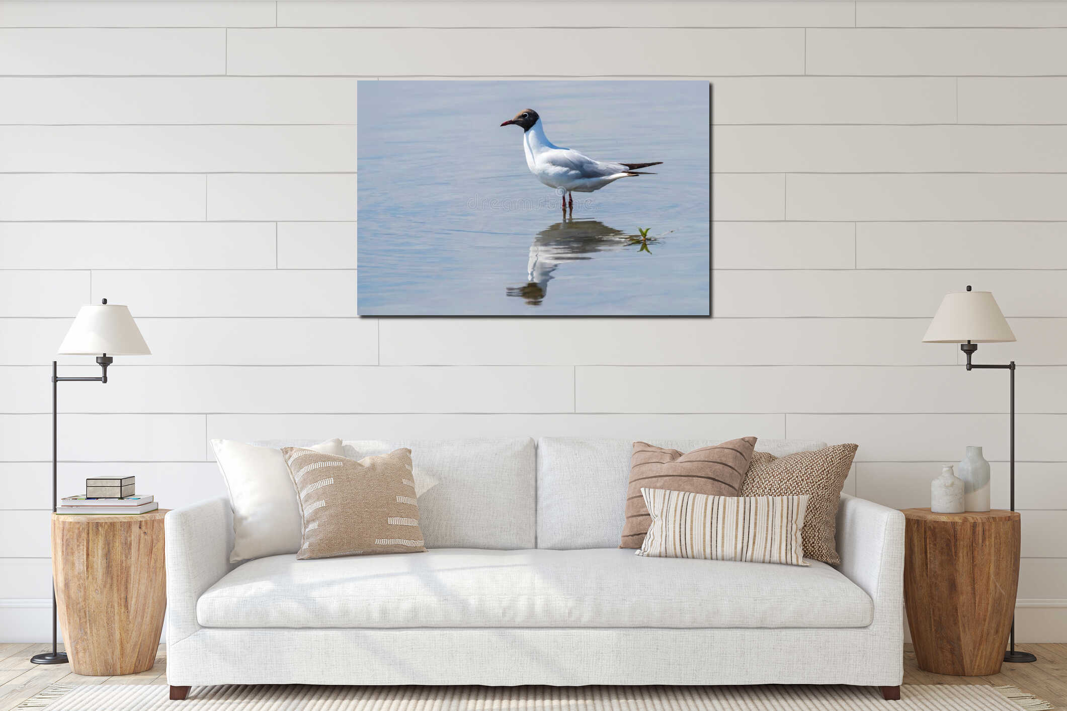 The Black Headed Gulls Standing in the Water interior mockup