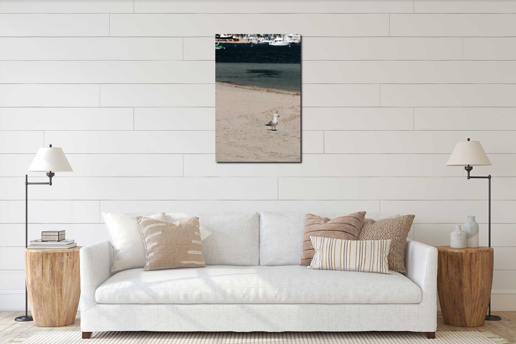 Seagull on the beach, Port of Pollentia. interior mockup