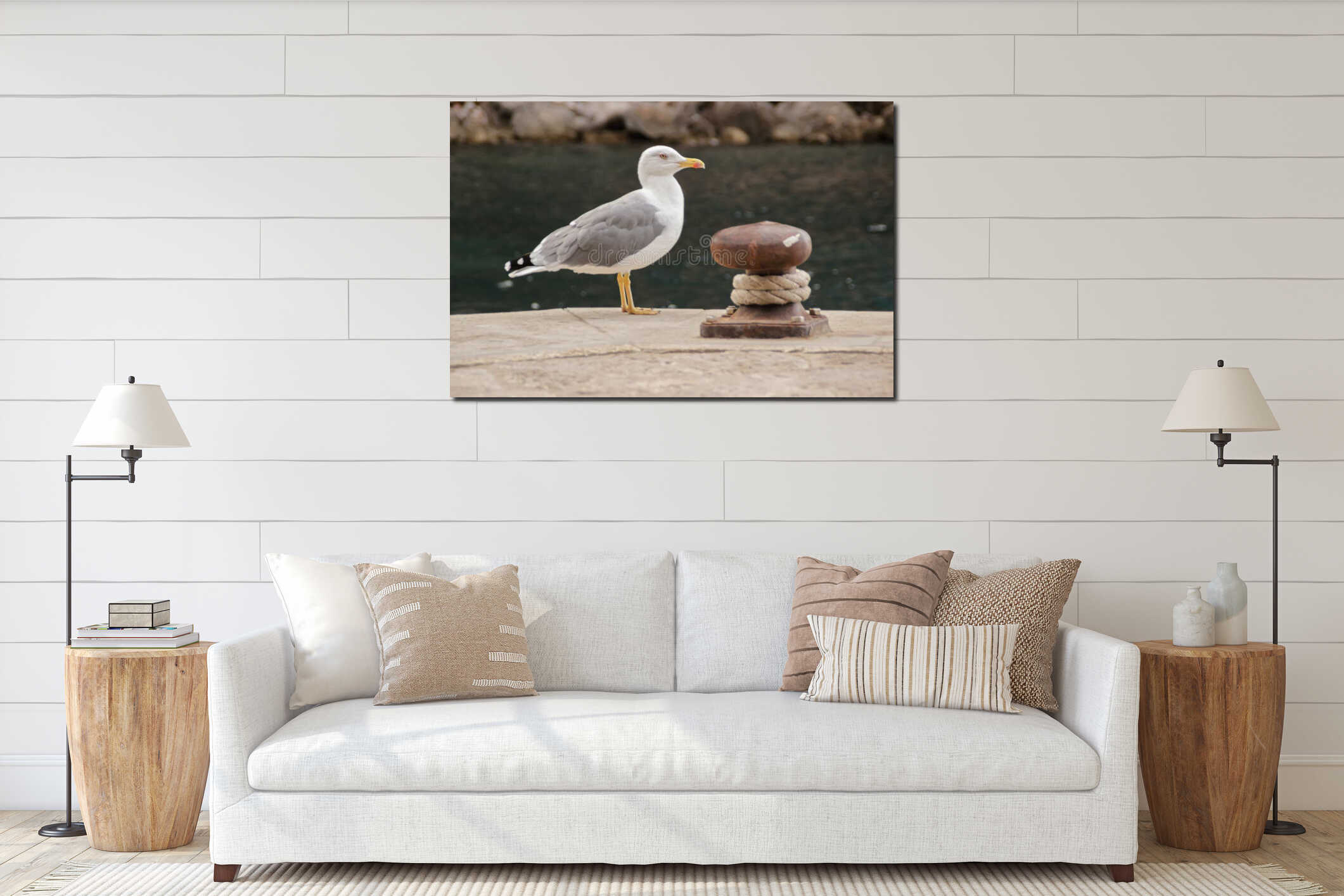 Seagull on the beach, Port of Pollentia. interior mockup