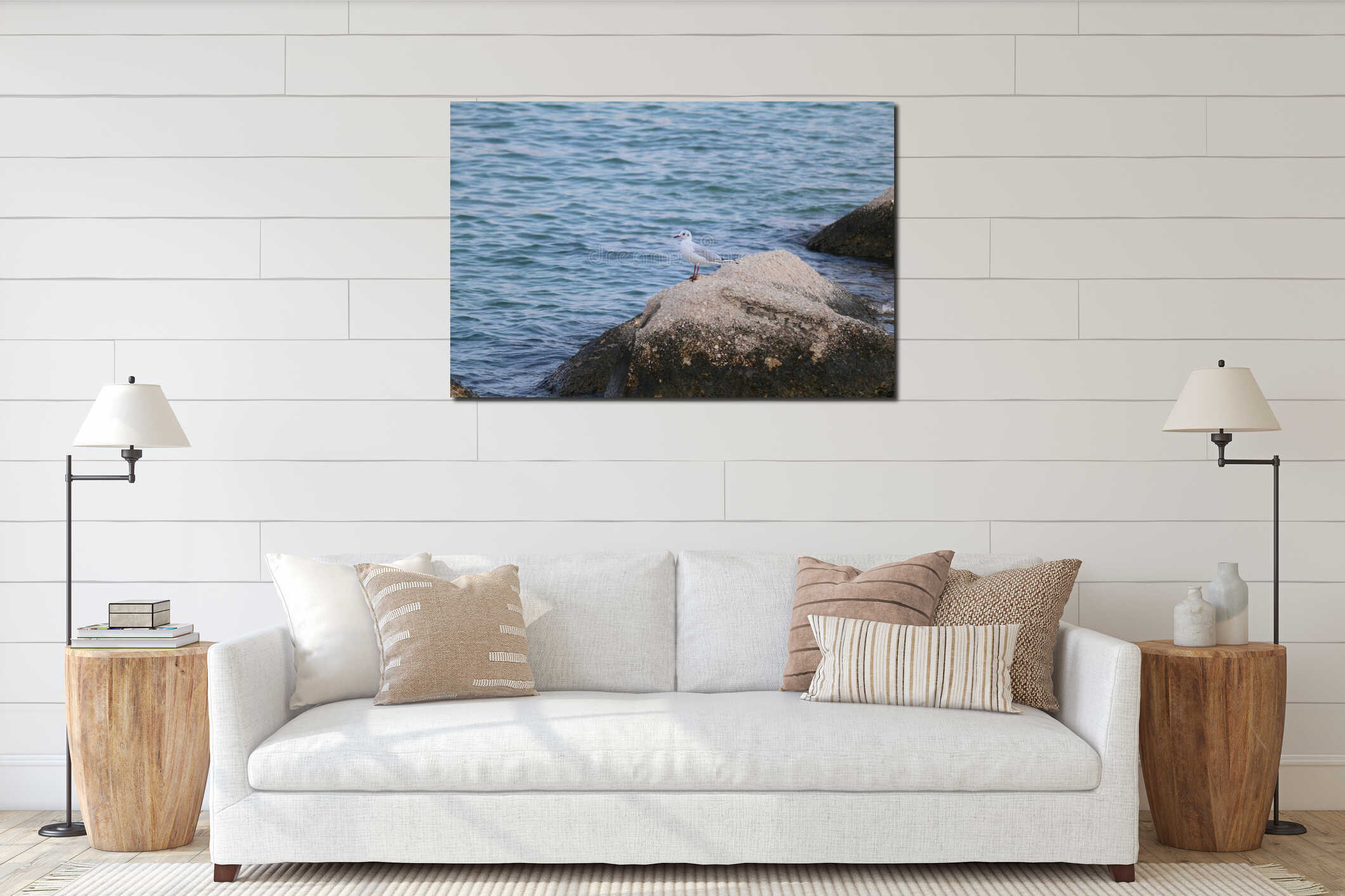 Seagull perched on a rock interior mockup