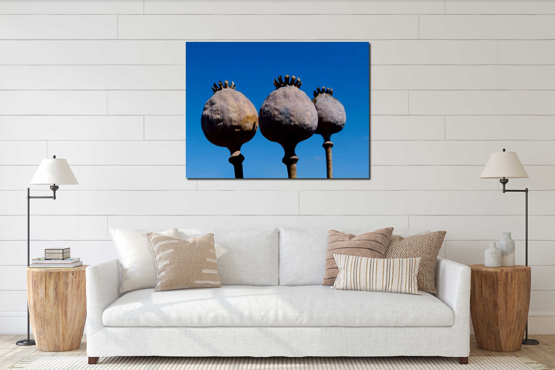 Poppy seed pods in abstract low angle view with blue sky interior mockup