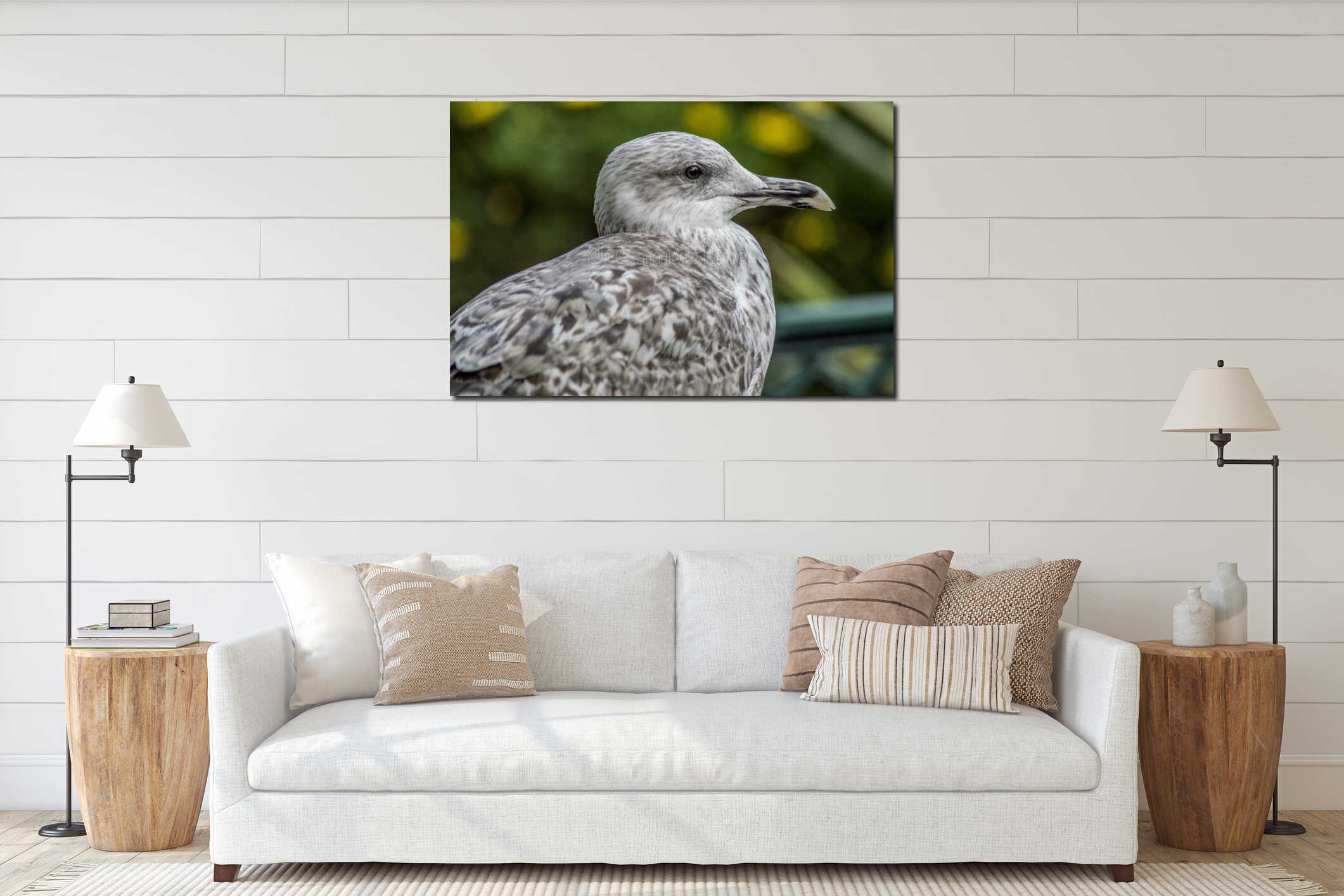 Closeup shot of a young European herring gull on a green background with bokeh light interior mockup