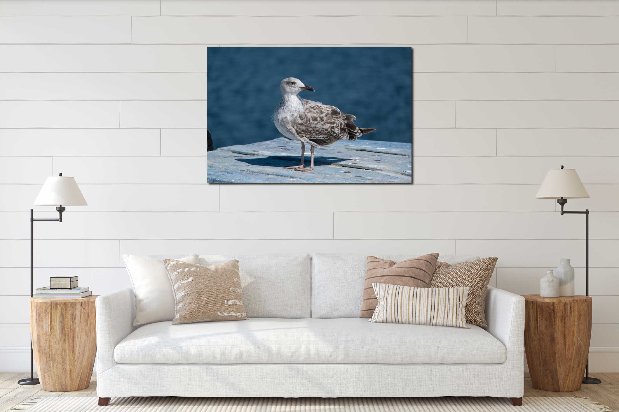 Seagull with brown and white feathers perched on old wooden bpat with blue paint. interior mockup