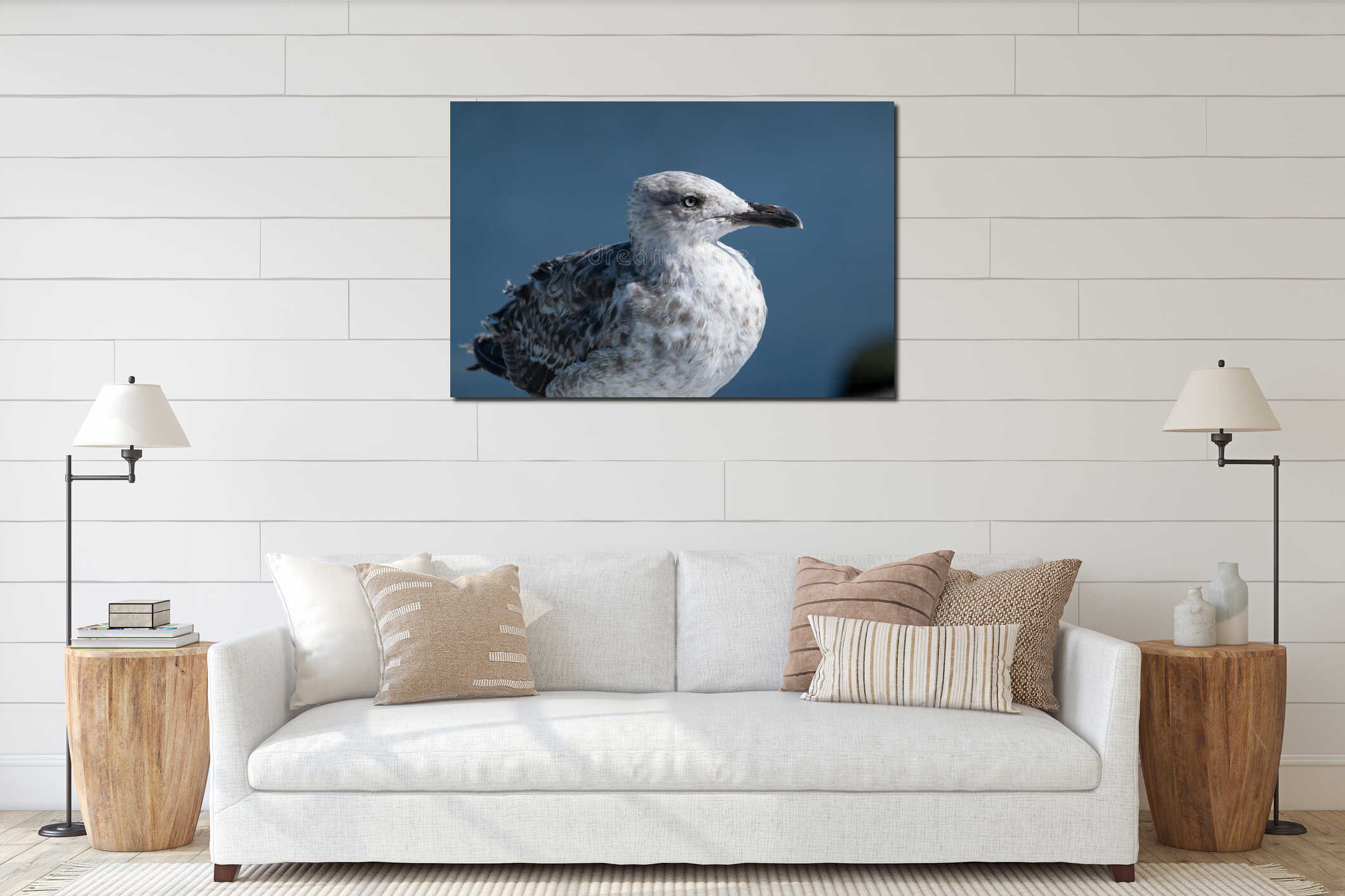 Close up portrait of grey and white seagull, with blue ocean in background. interior mockup