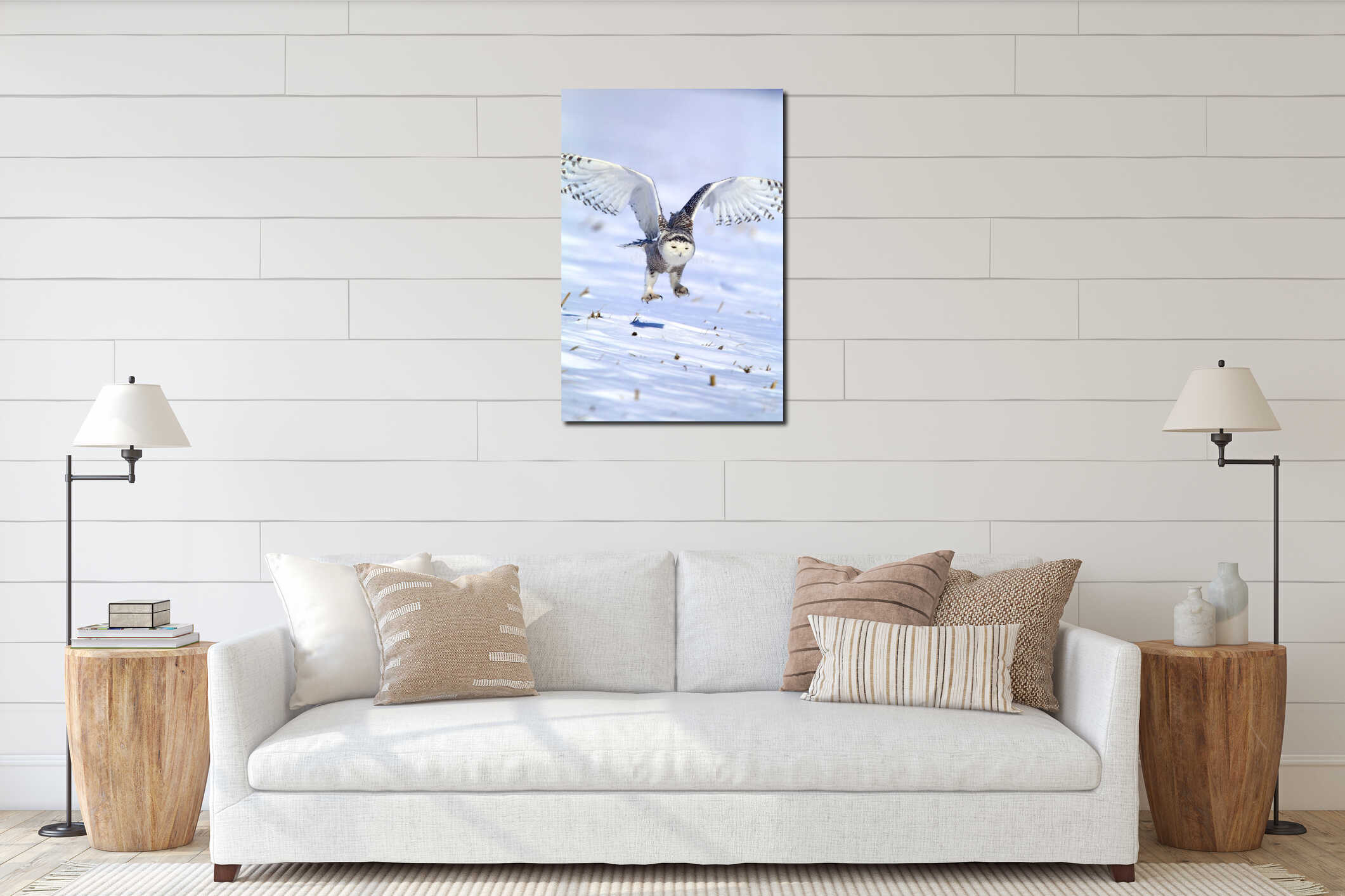 Snowy Owl Female Takes Off  825137 interior mockup