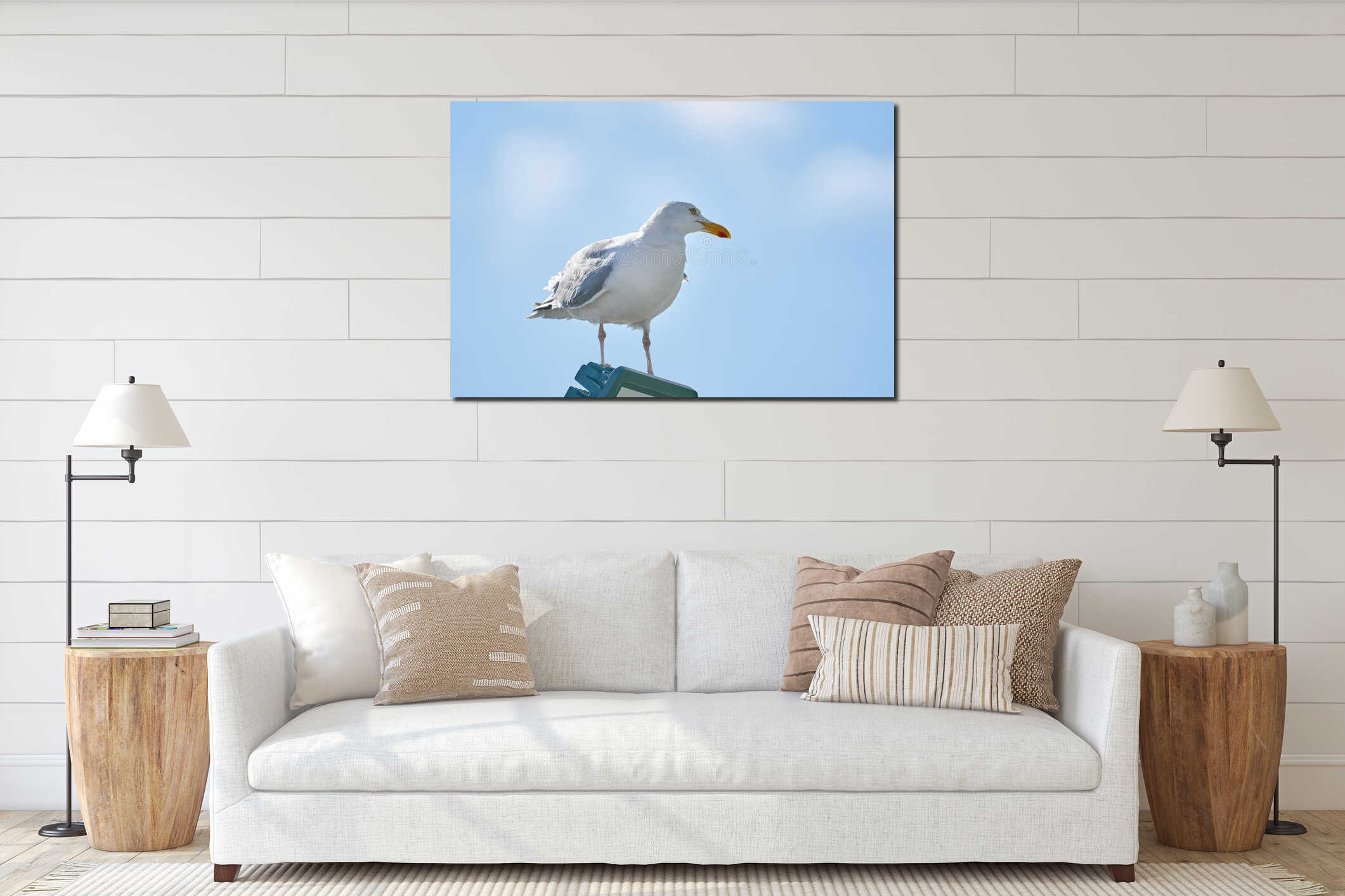 A seagull sits against the blue sky in the sun interior mockup