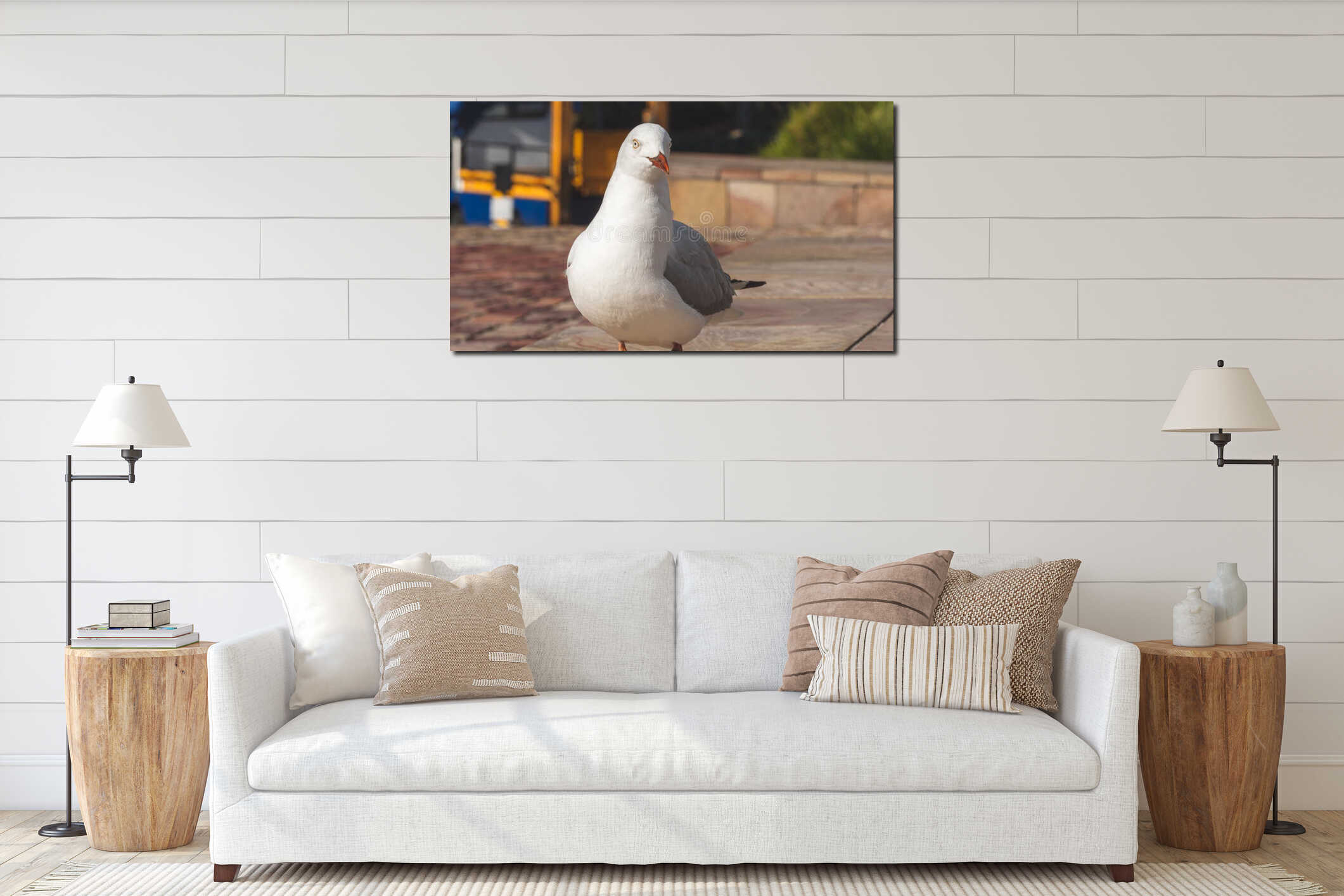 Seagull walking in the city interior mockup