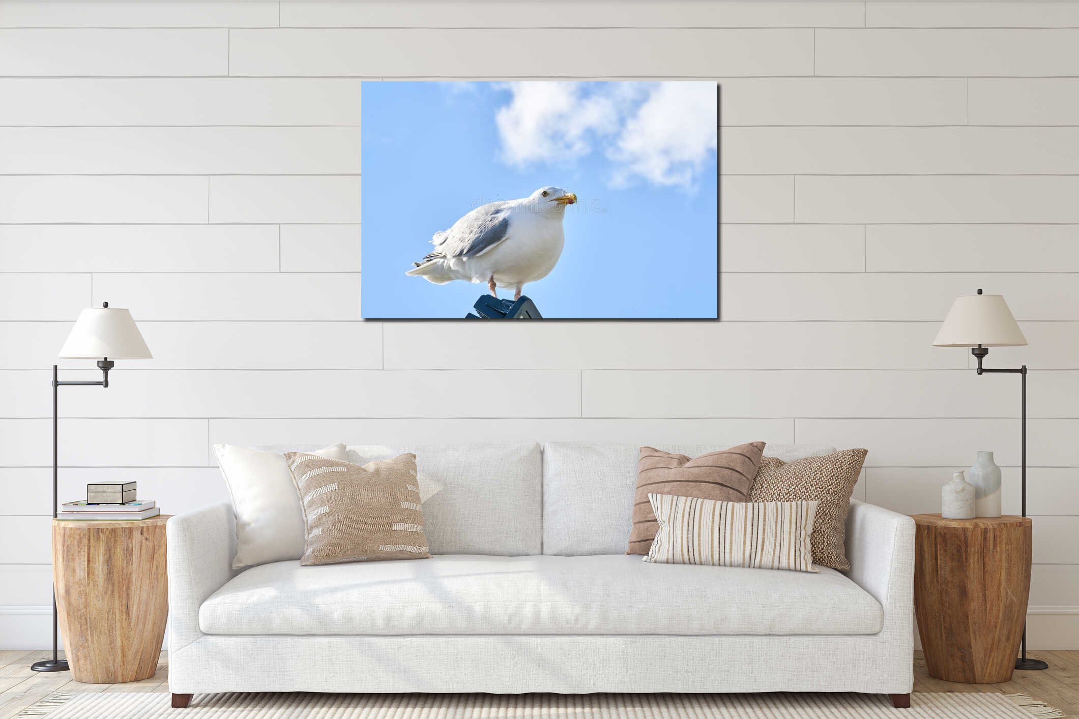 A seagull sits against the blue sky in the sun interior mockup