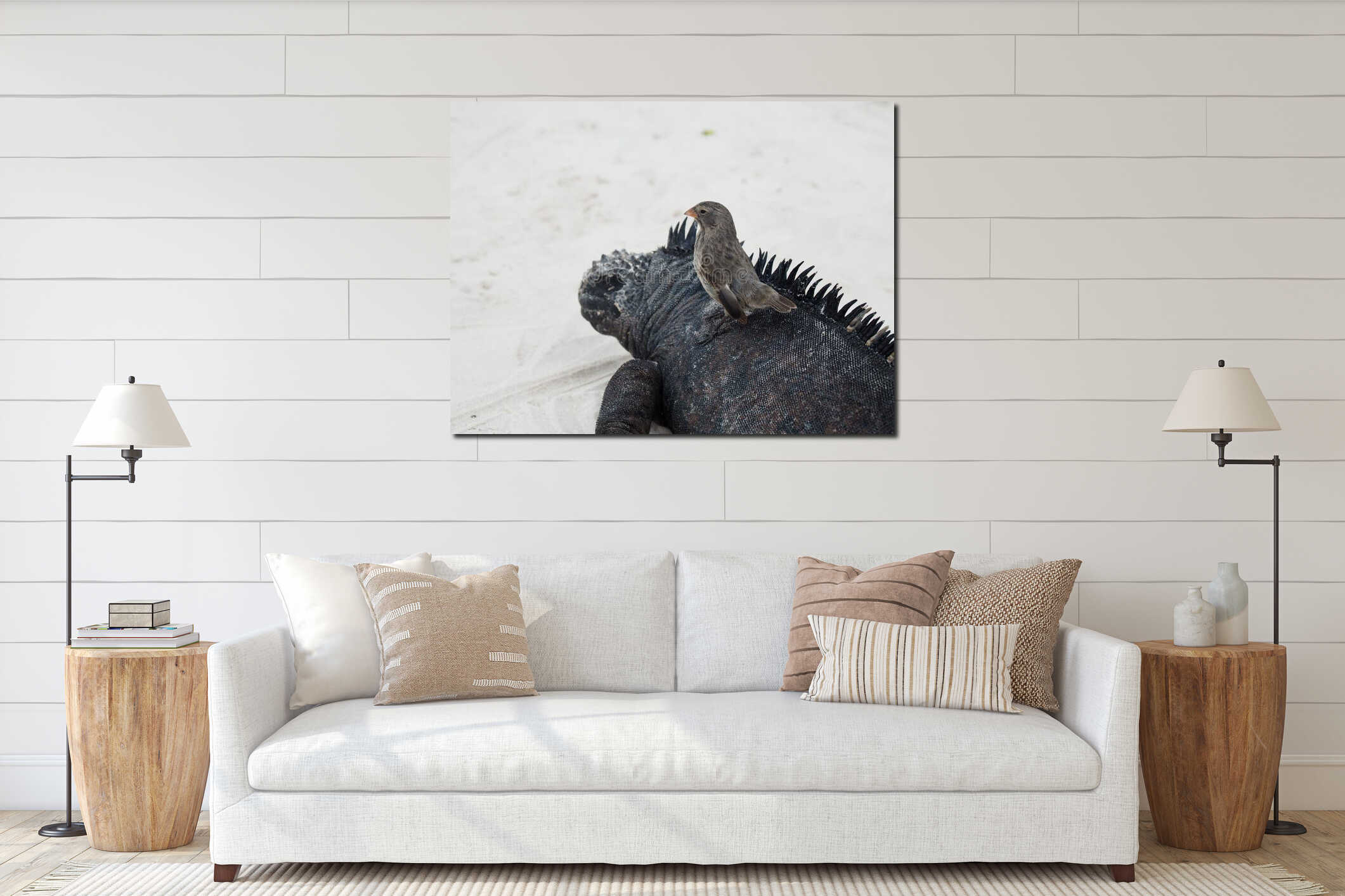 Closeup shot of a robin bird on an iguana interior mockup