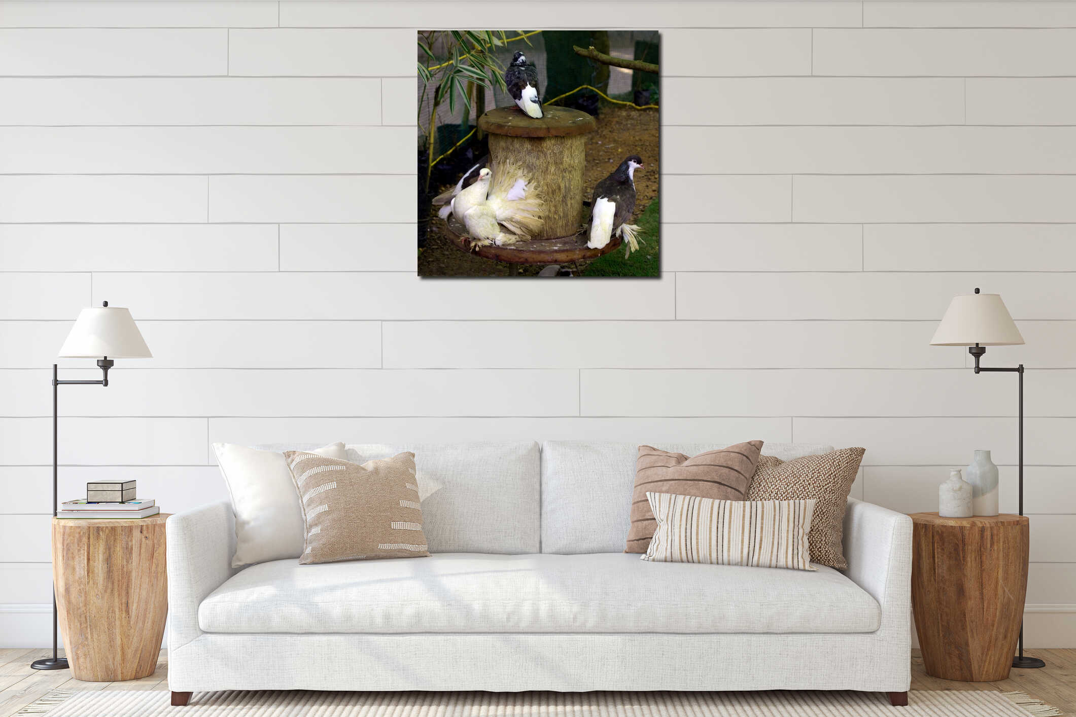 Closeup of beautiful black and white doves in the garden cage interior mockup