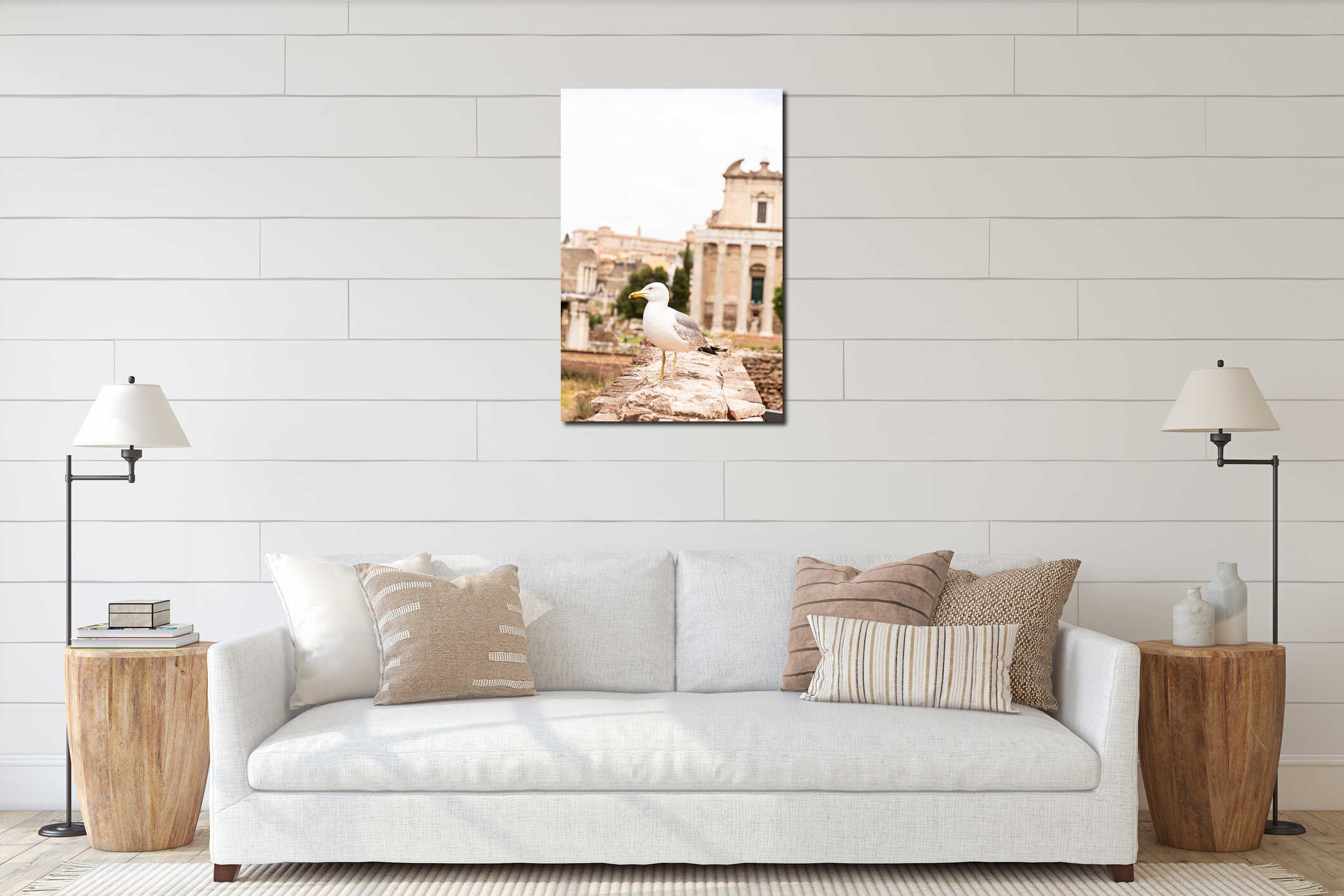 Seagull in front of old buildings looking away in rome interior mockup