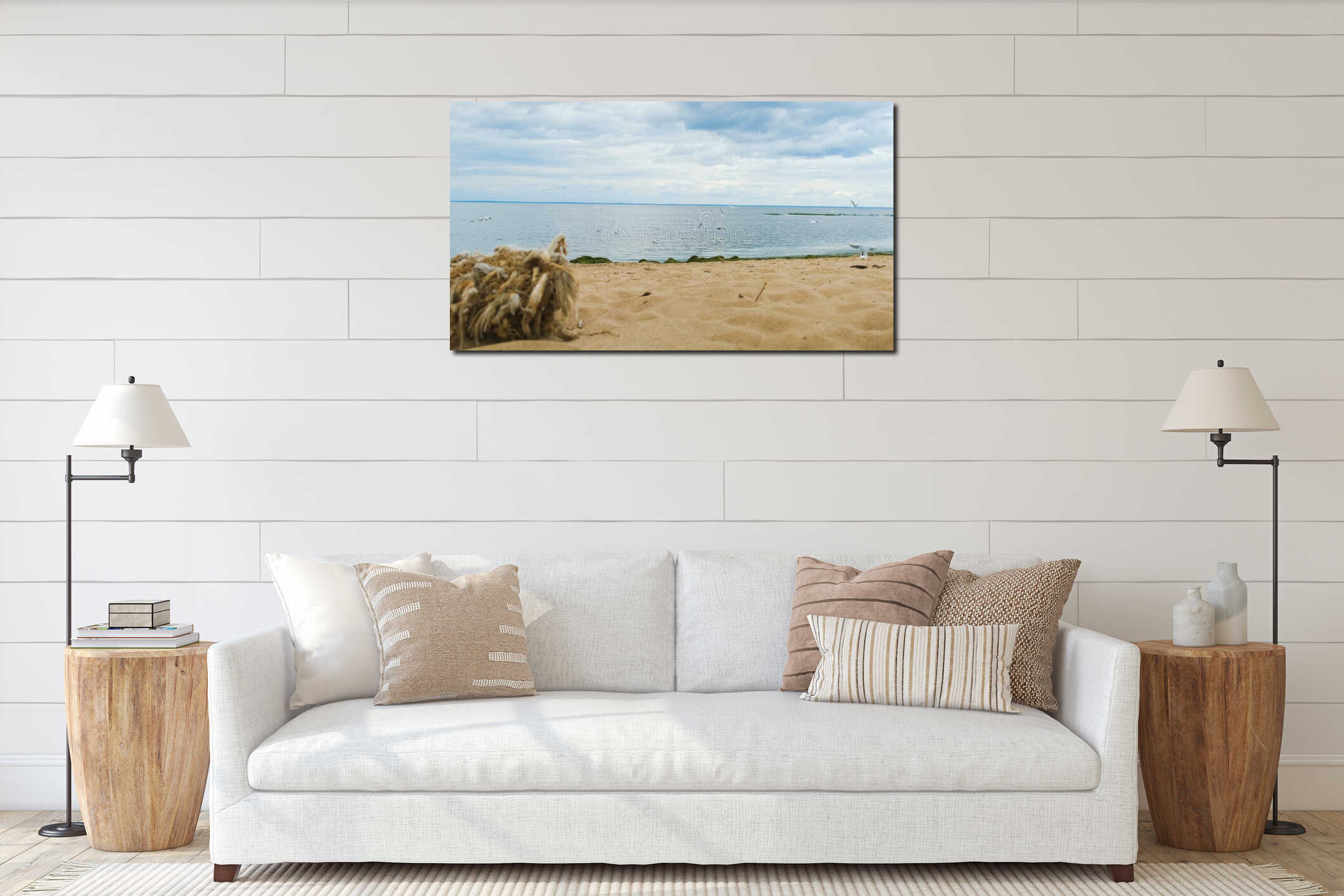 Sandy beach with seaweed and seagulls. Concept. Beautiful seascape with flock of gulls on sandy beach in cloudy weather interior mockup