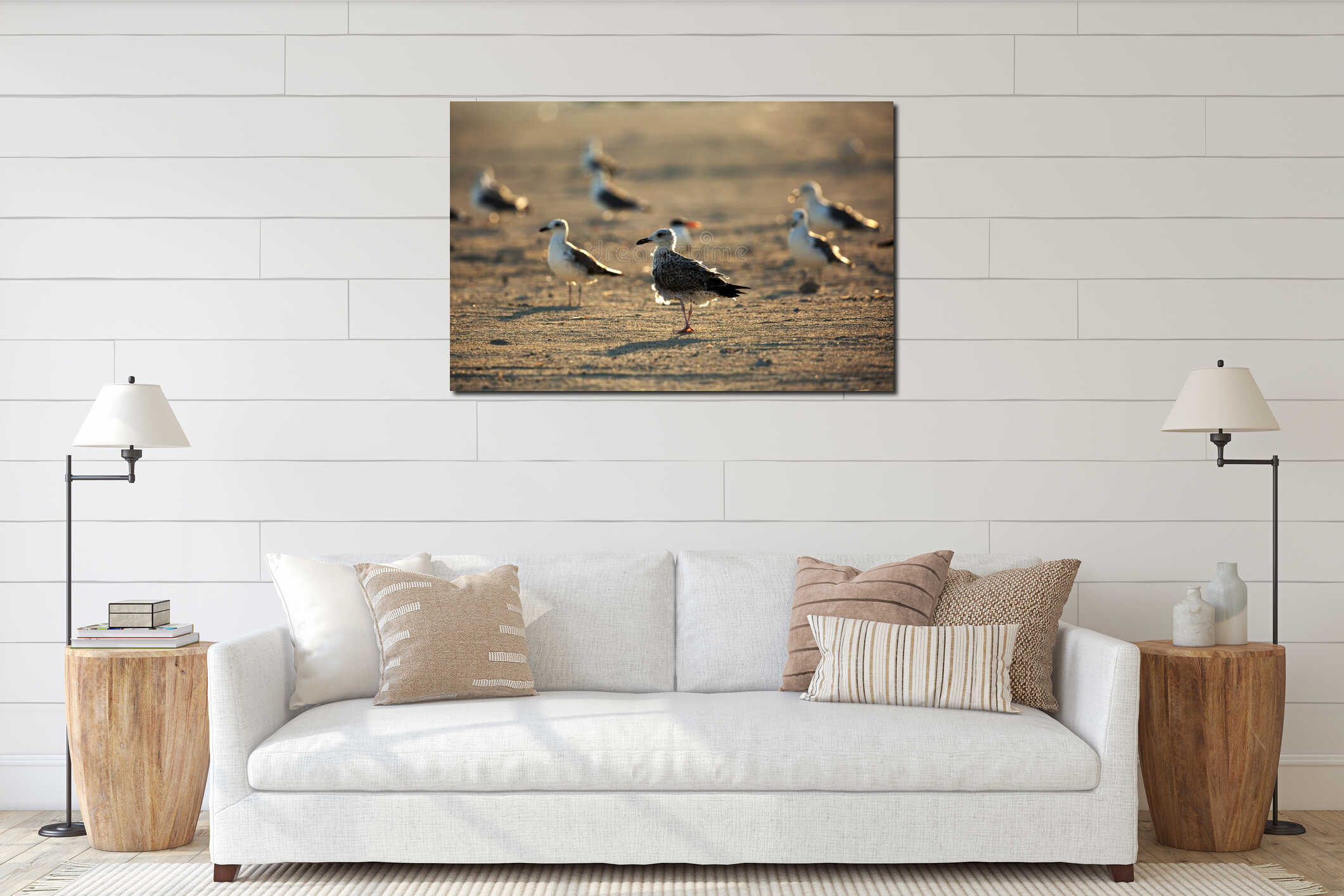 Seagulls are typically medium to large birds and grey or white in color interior mockup