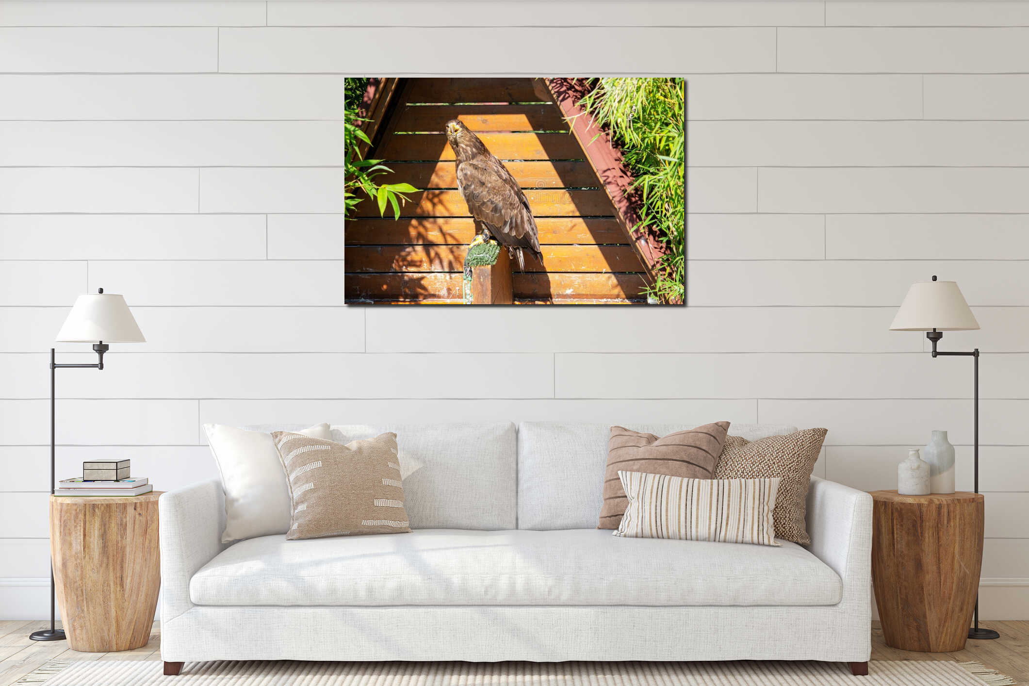 Portrait of a white-tailed eagle, Haliaeetus albicilla, is a very large species of sea eagle interior mockup