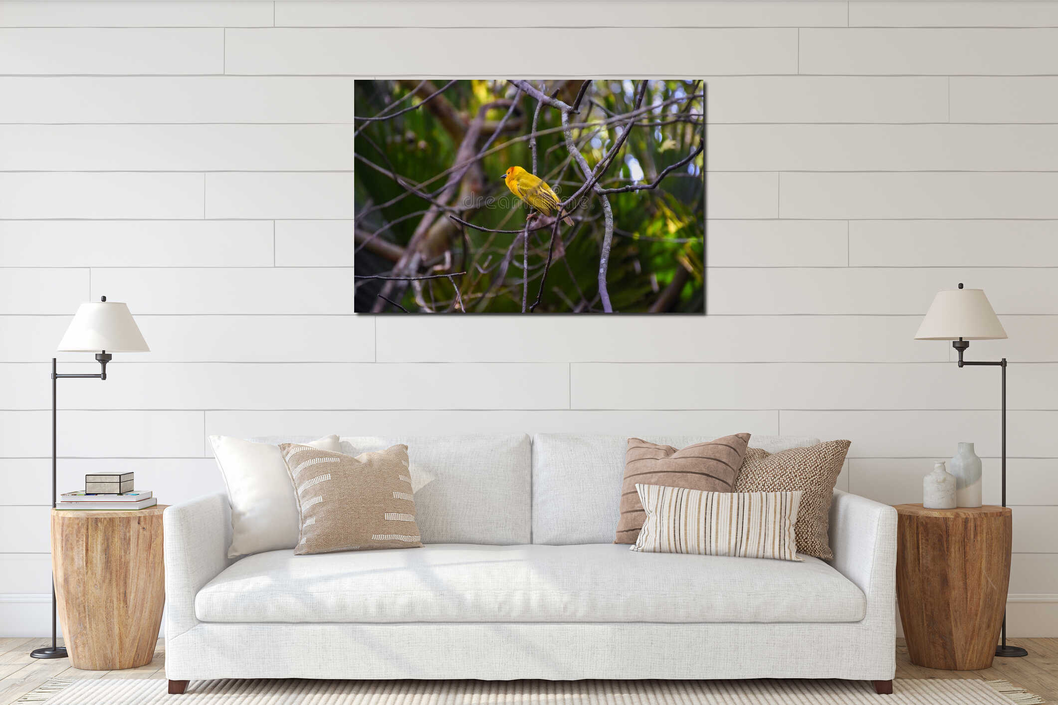 Closeup of a beautiful saffron finch bird perched on a tree branch interior mockup
