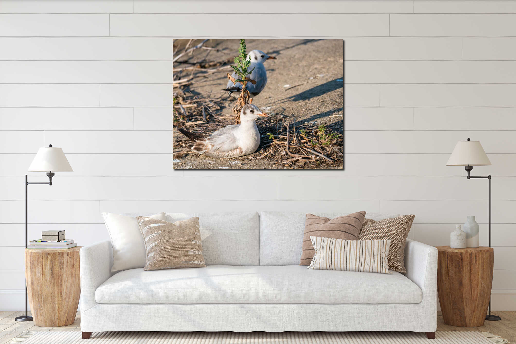 Tired young gull sitting down and resting interior mockup