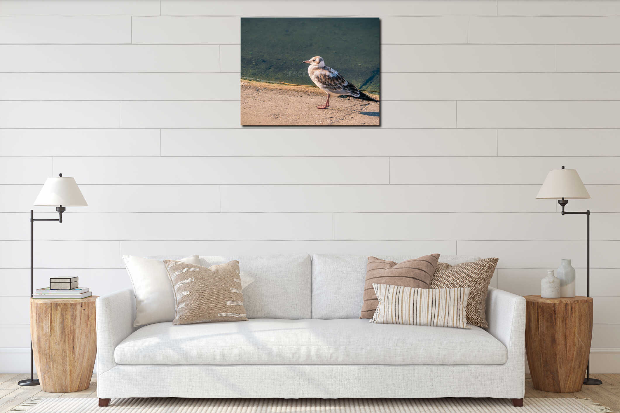 Tired young gull sitting at the edge of the water interior mockup