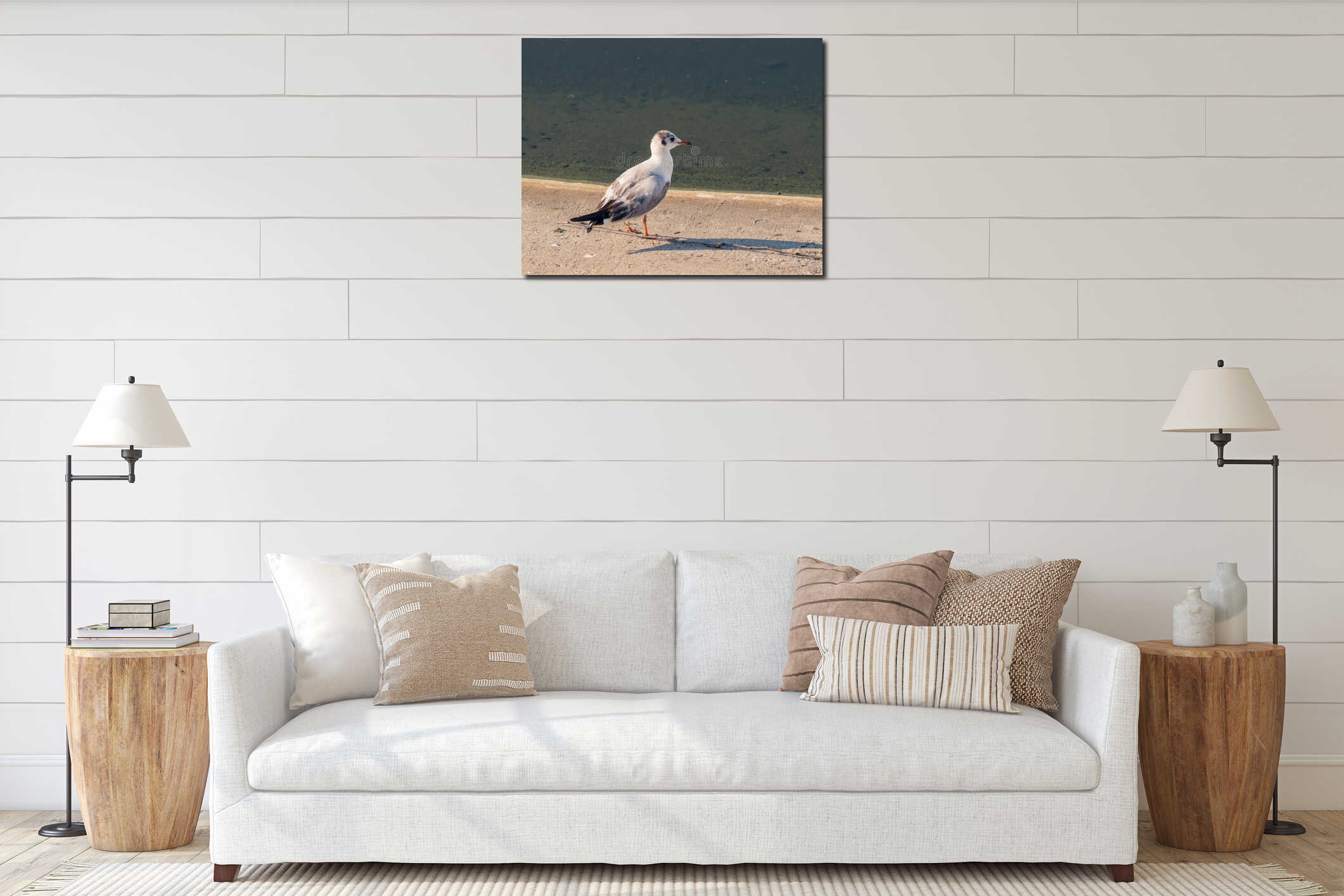 Tired young gull sitting at the edge of the water interior mockup