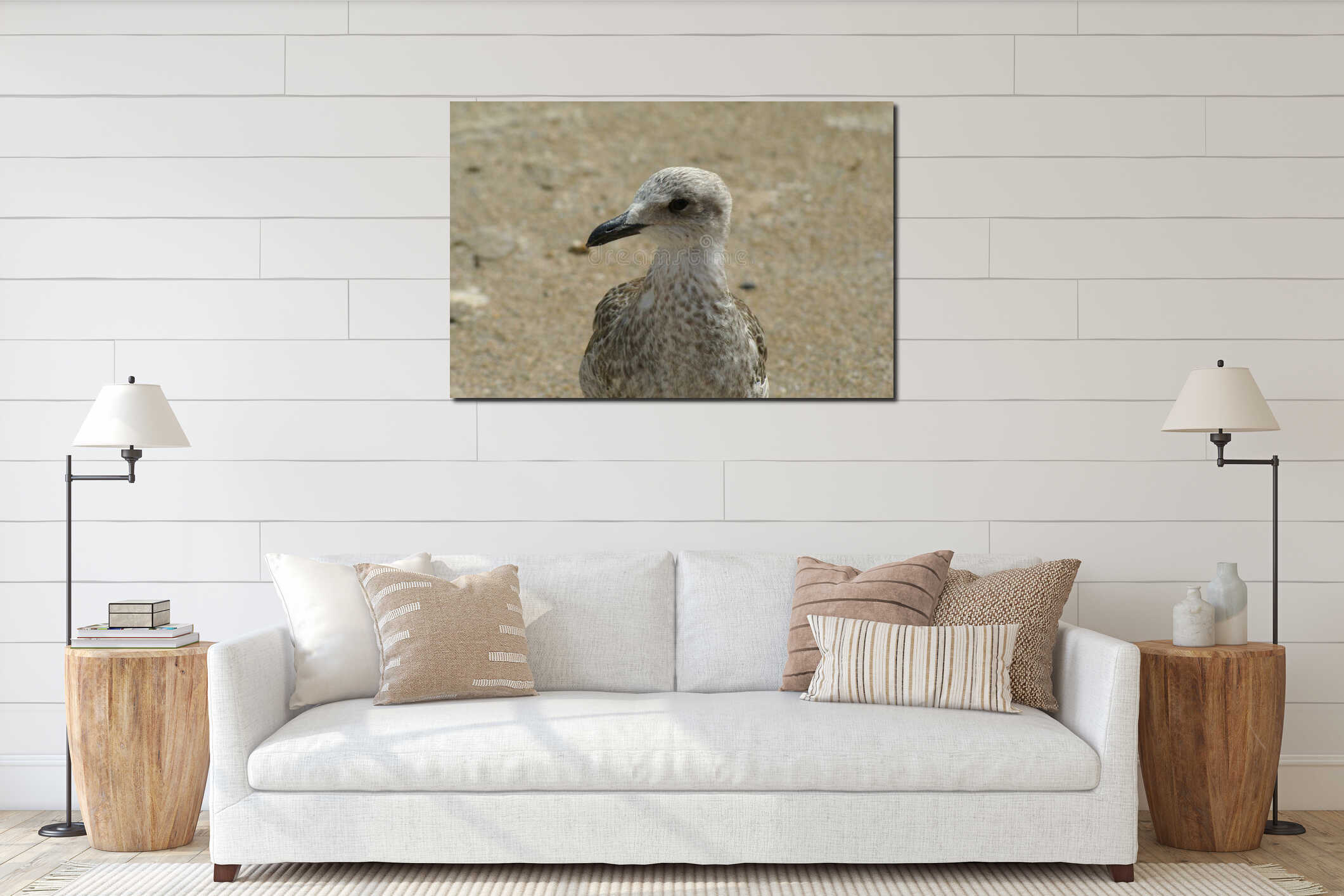 Close up of a grey seagull standing on a sandy beach interior mockup