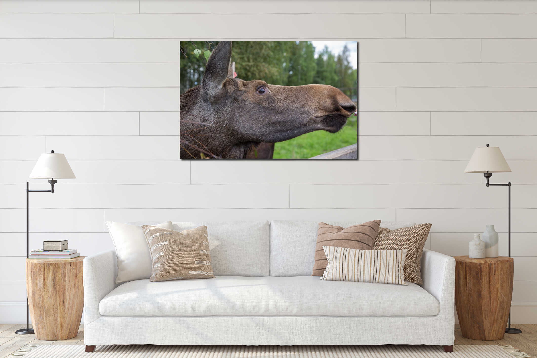 Closeup portrait of funny curious head of a moose or Eurasian elk with big brown eyes and nose interior mockup