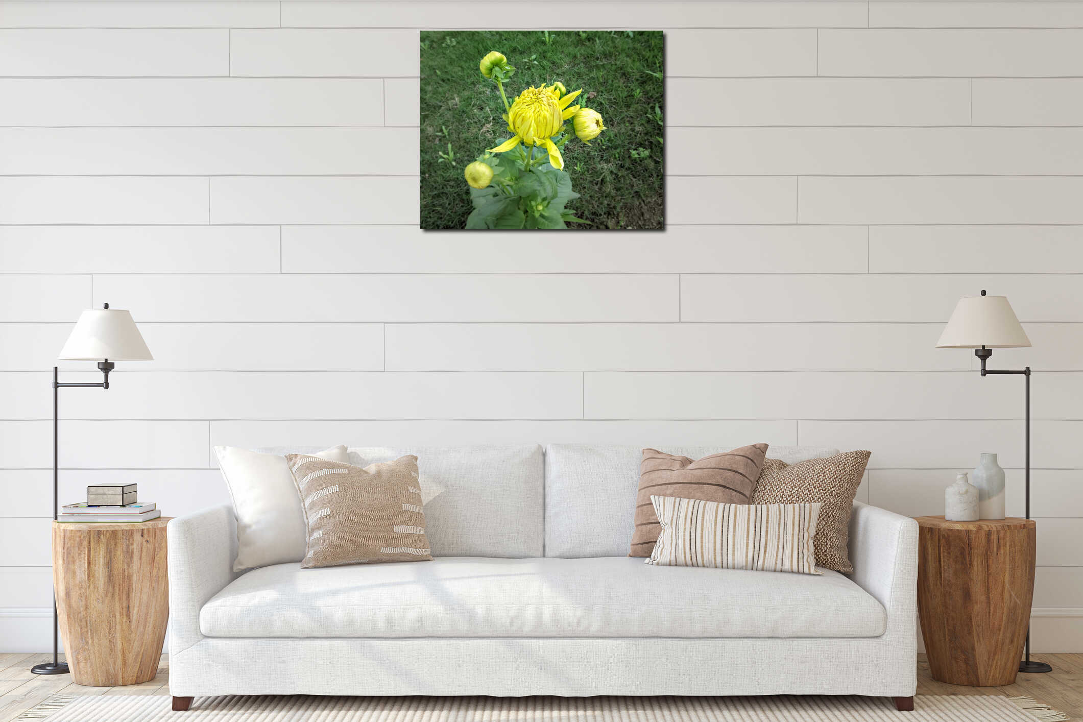 Bright yellow blooming Dahlia flower bud in park with green background interior mockup