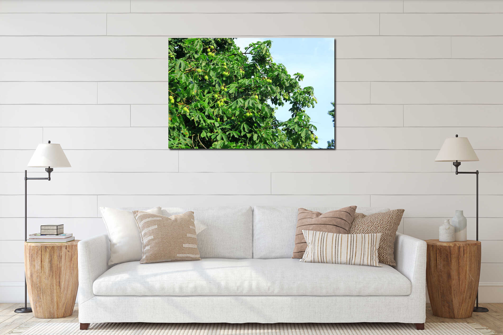 Green chestnut tree with a rich harvest. interior mockup