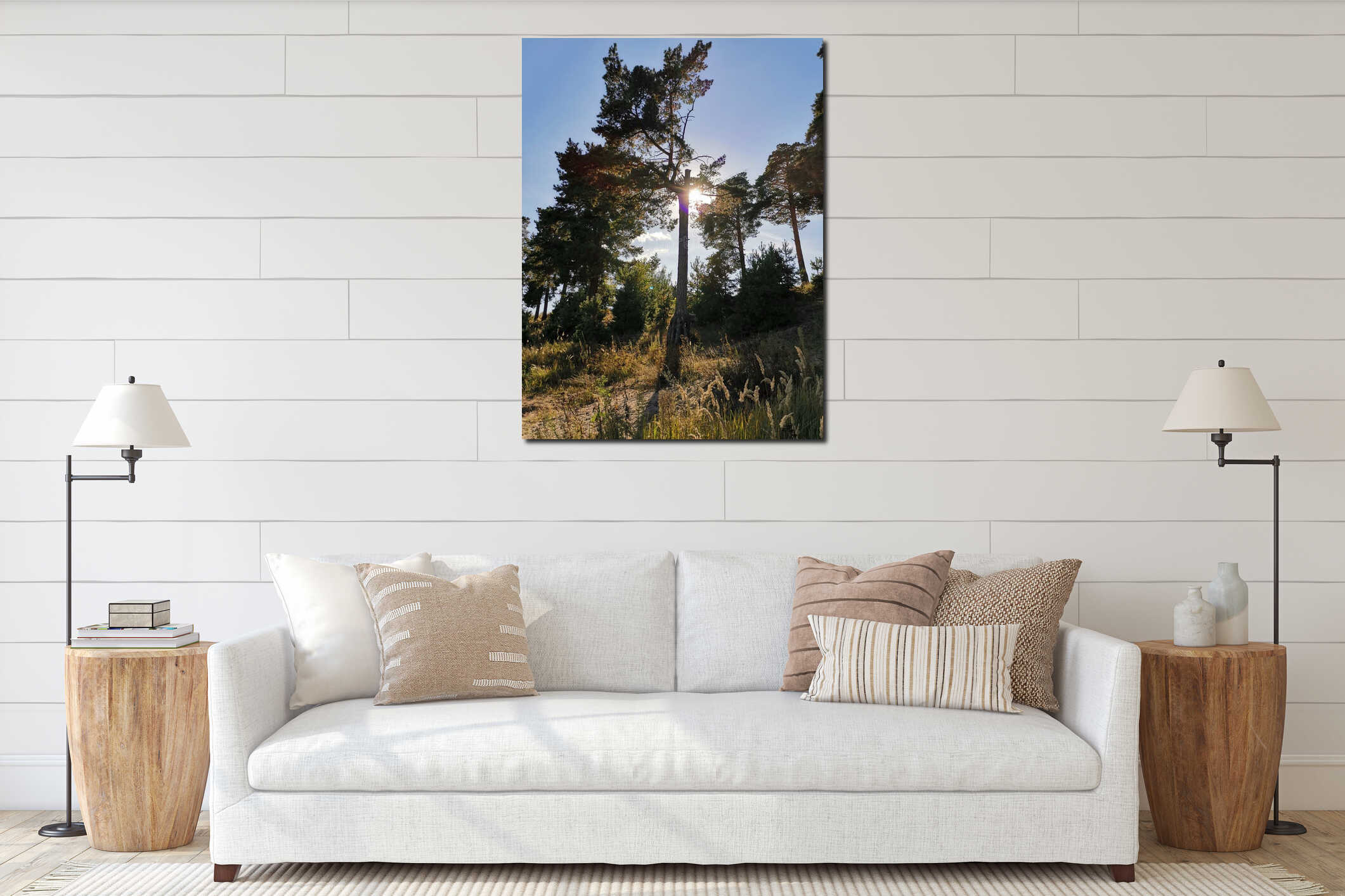Pine trees in sunlight in august day interior mockup