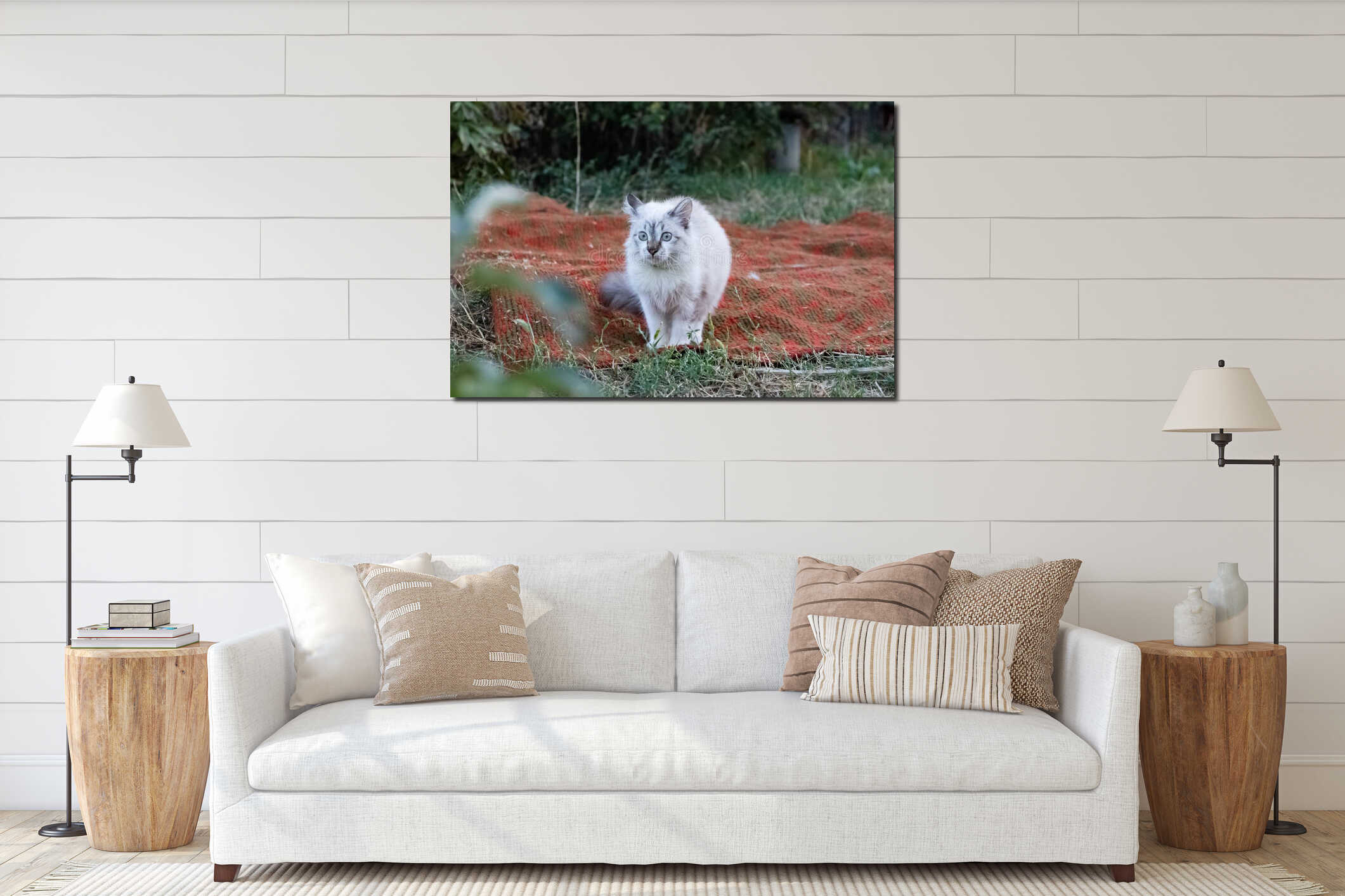 A frightened cat looks with bulging eyes in the direction of danger. The kitten white fur stood on end. Homeless animals interior mockup