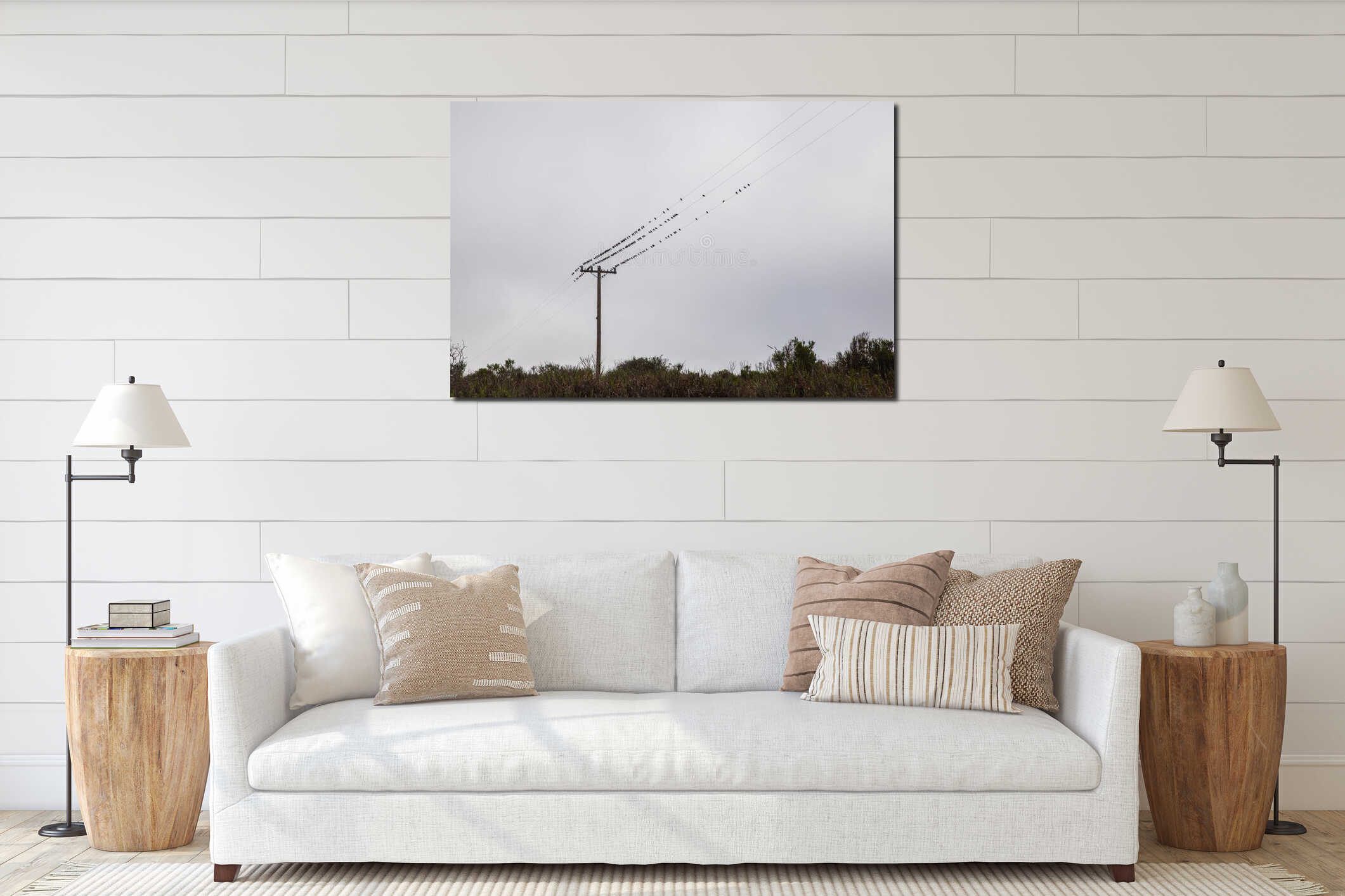 Beautiful shot of electricity poles with a flock of birds perched along a wire interior mockup