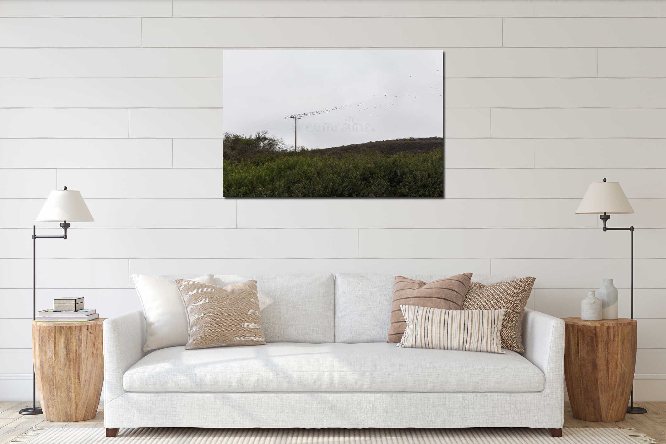 Beautiful shot of electricity poles with a flock of birds perched along a wire interior mockup