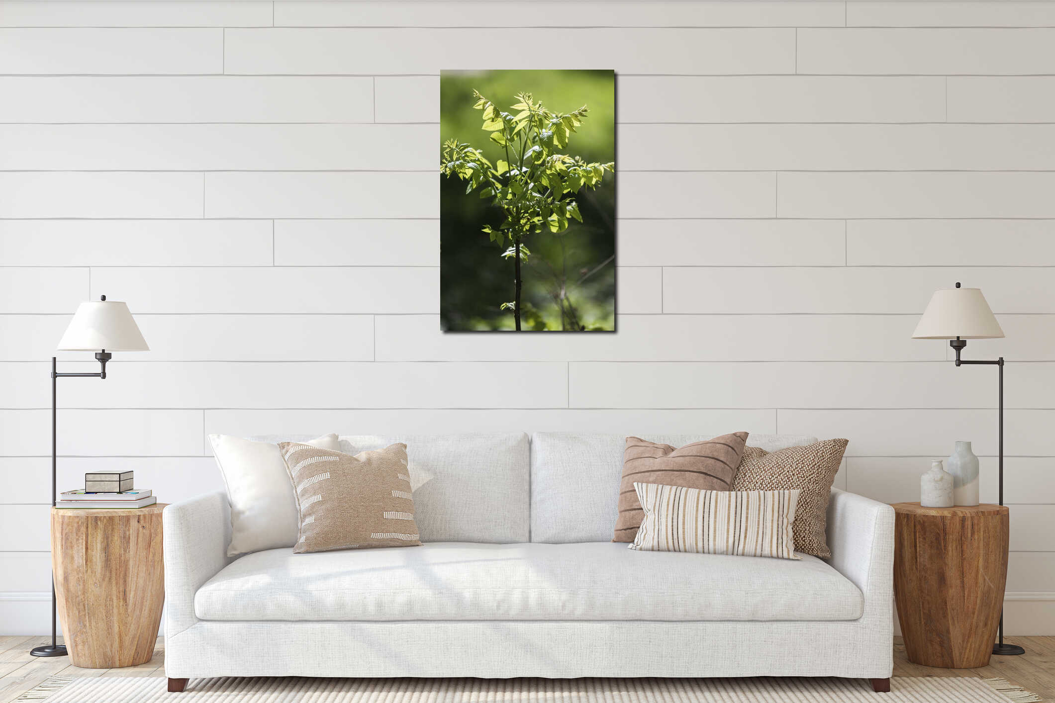 Young sprout of a green chestnut tree interior mockup
