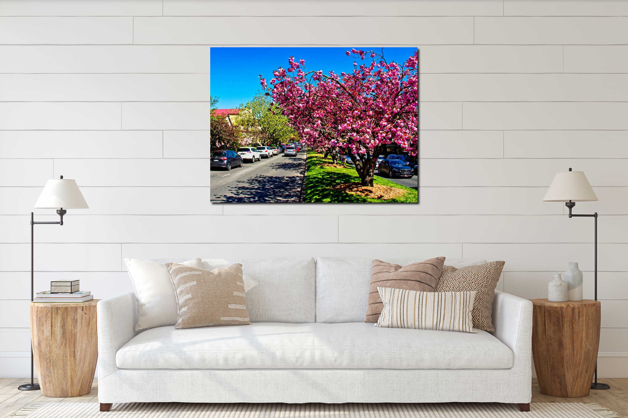 Pink Cherry Blossom Trees, Leura mall, Blue Mountains, NSW, Australia interior mockup