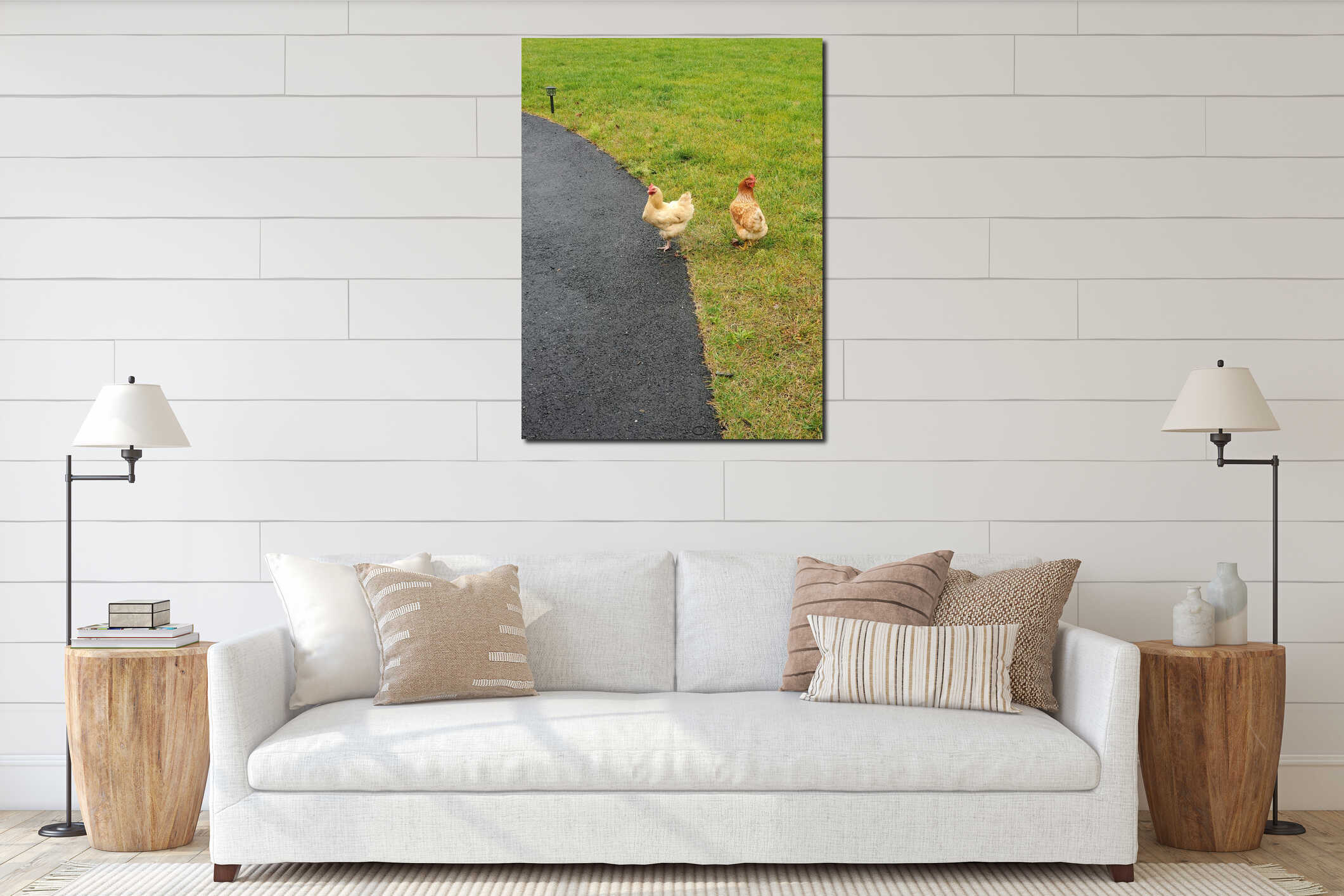 Chickens walking around the yard rooster on the grass hen cluck cluck interior mockup