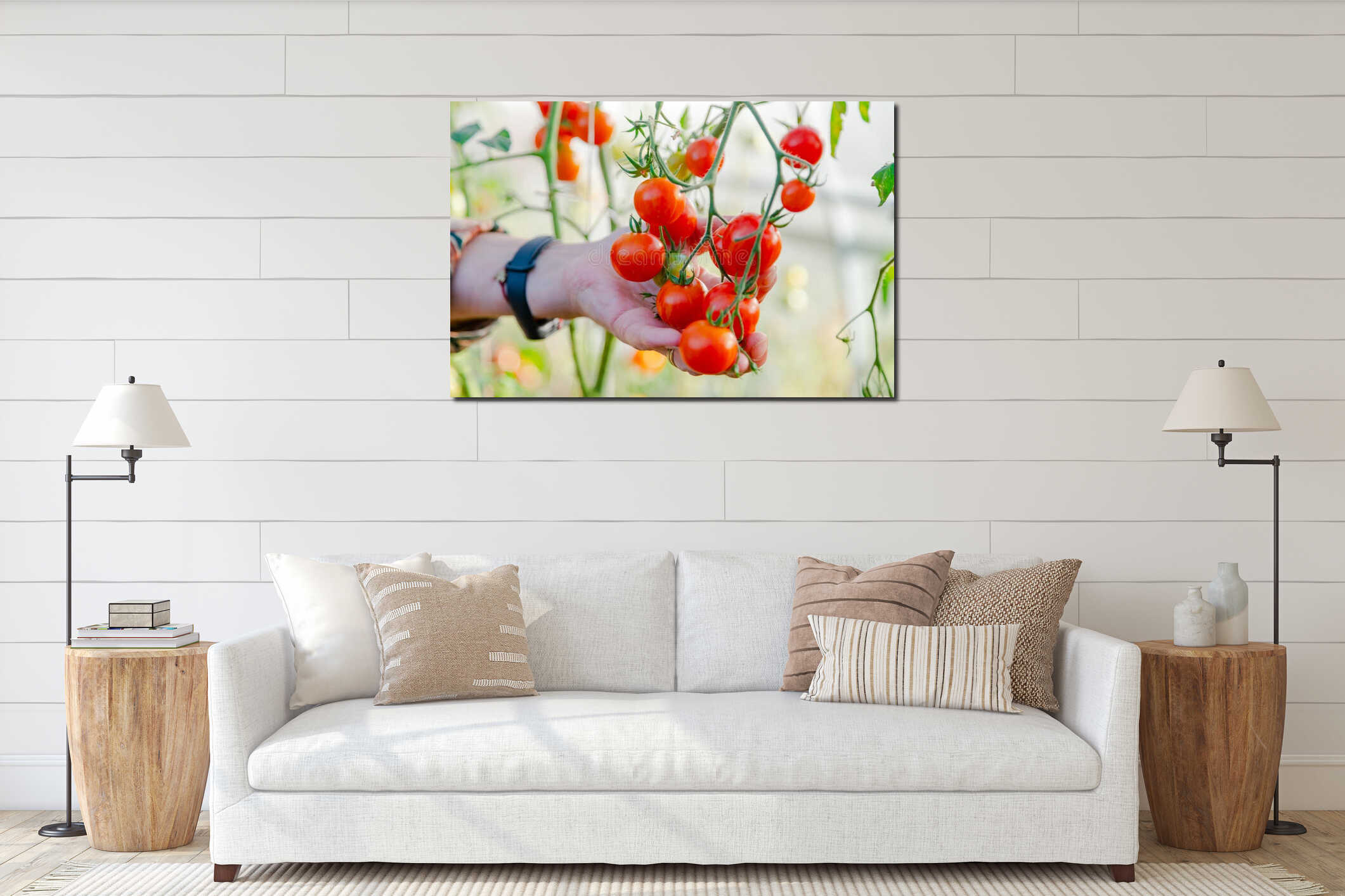 Close up of farmer hands harvesting red tomato in green house. Gardener picking ripe tomatoes interior mockup