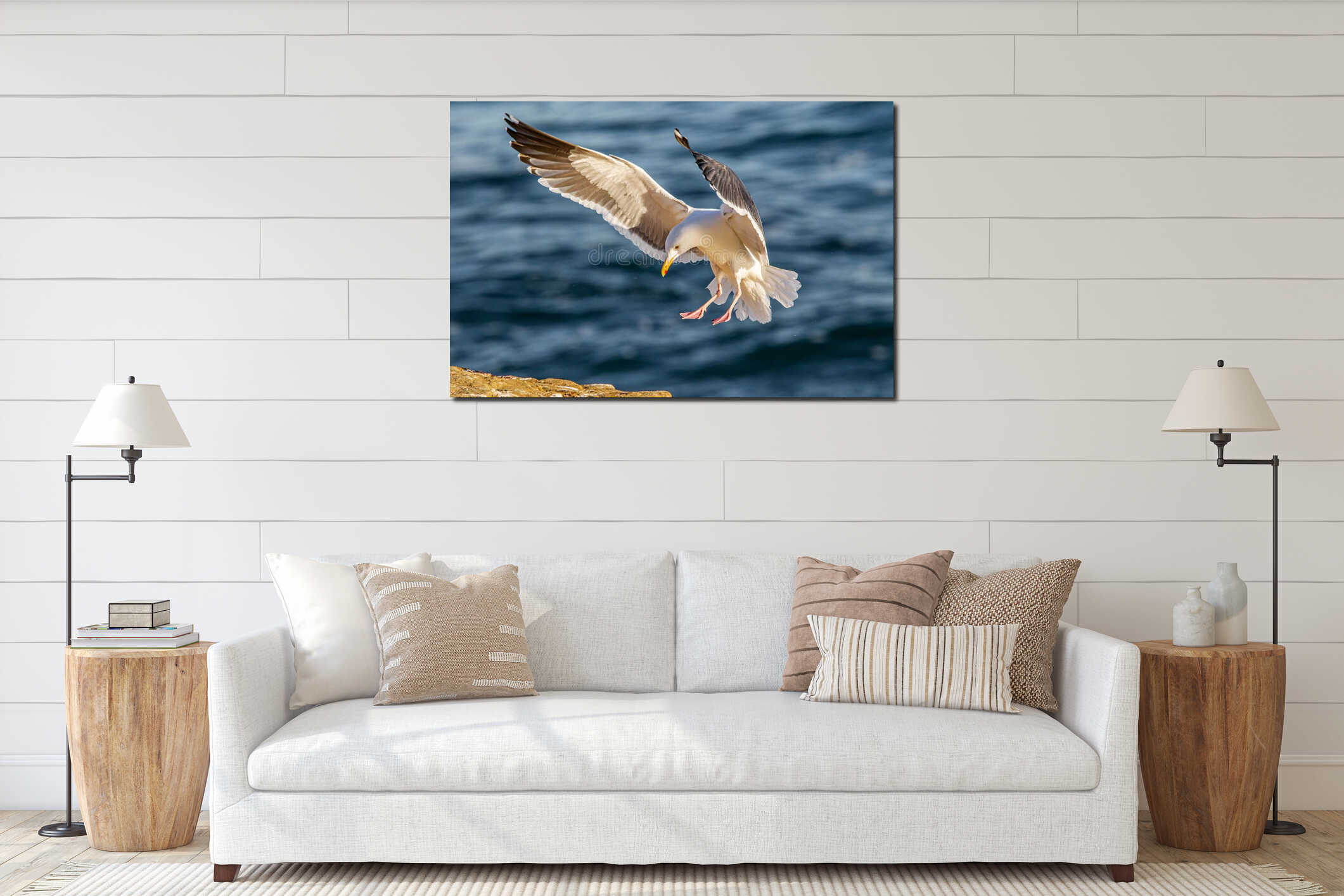 Thayer`s Gull interior mockup