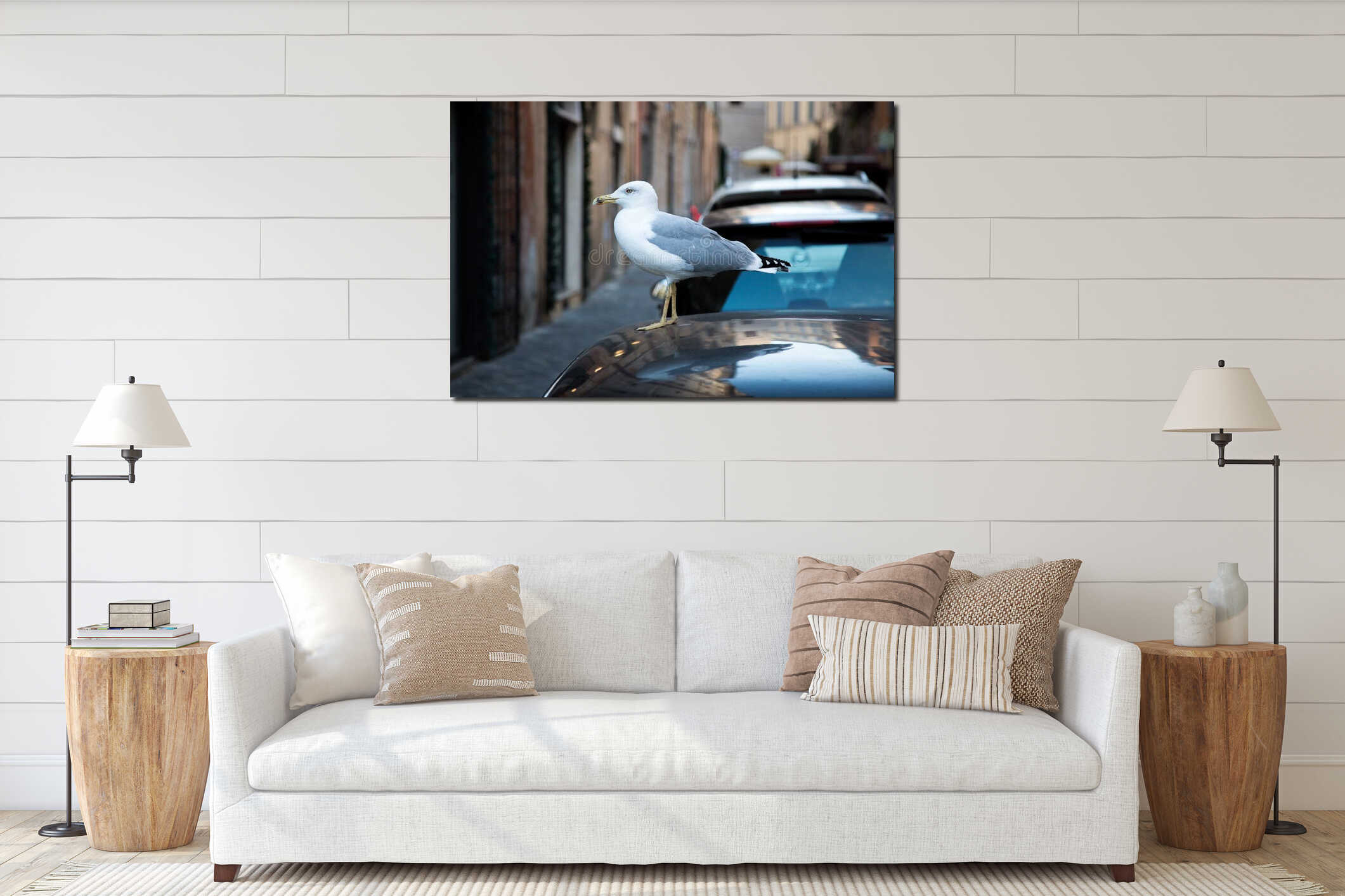 Seagull in the city. Big white headed albatross in profile stands on car roof. Roma city center old street in background interior mockup