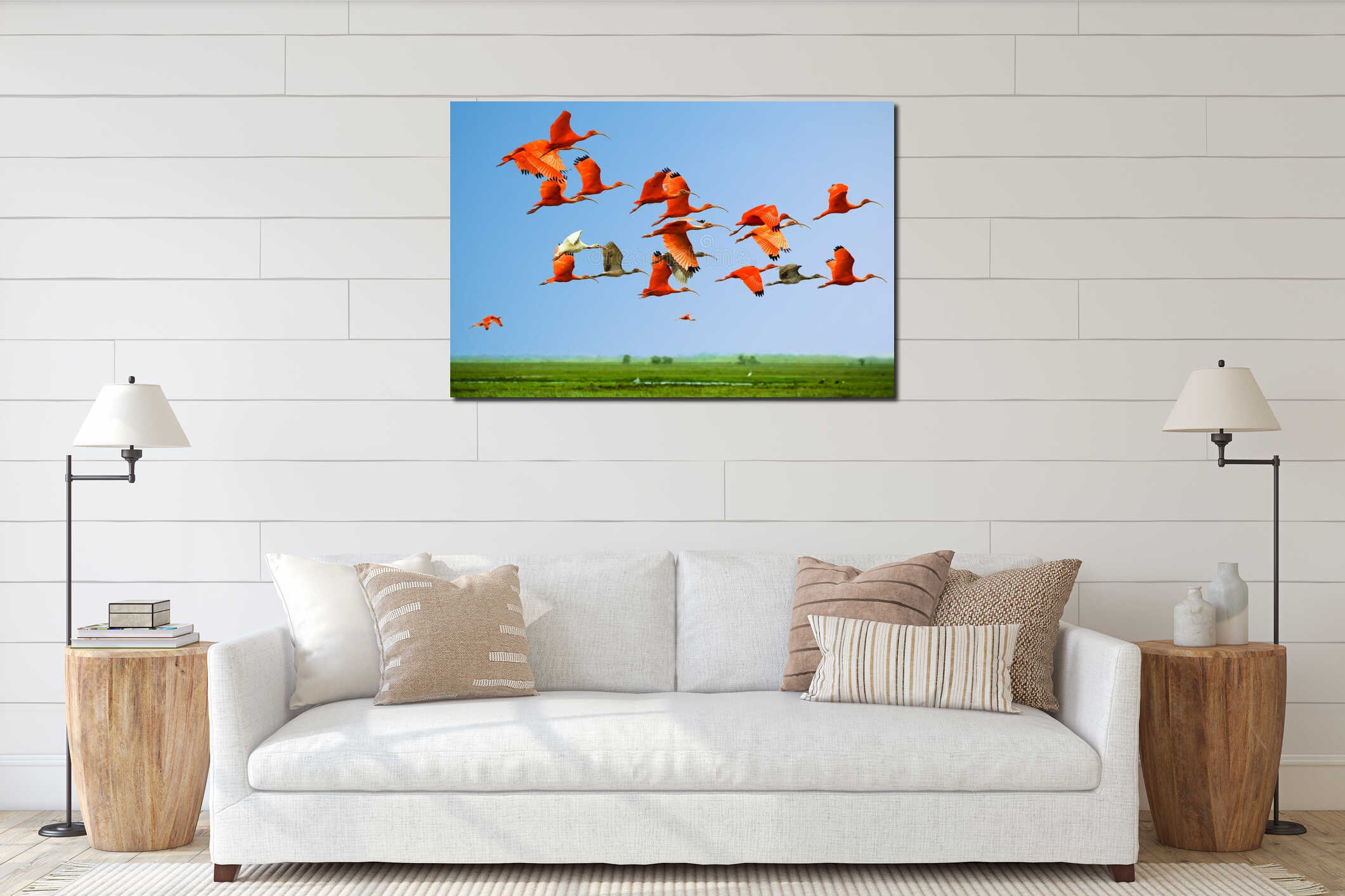 Flock of scarlet and white ibises in flight above green meadow with blue sky background (flying birds) interior mockup