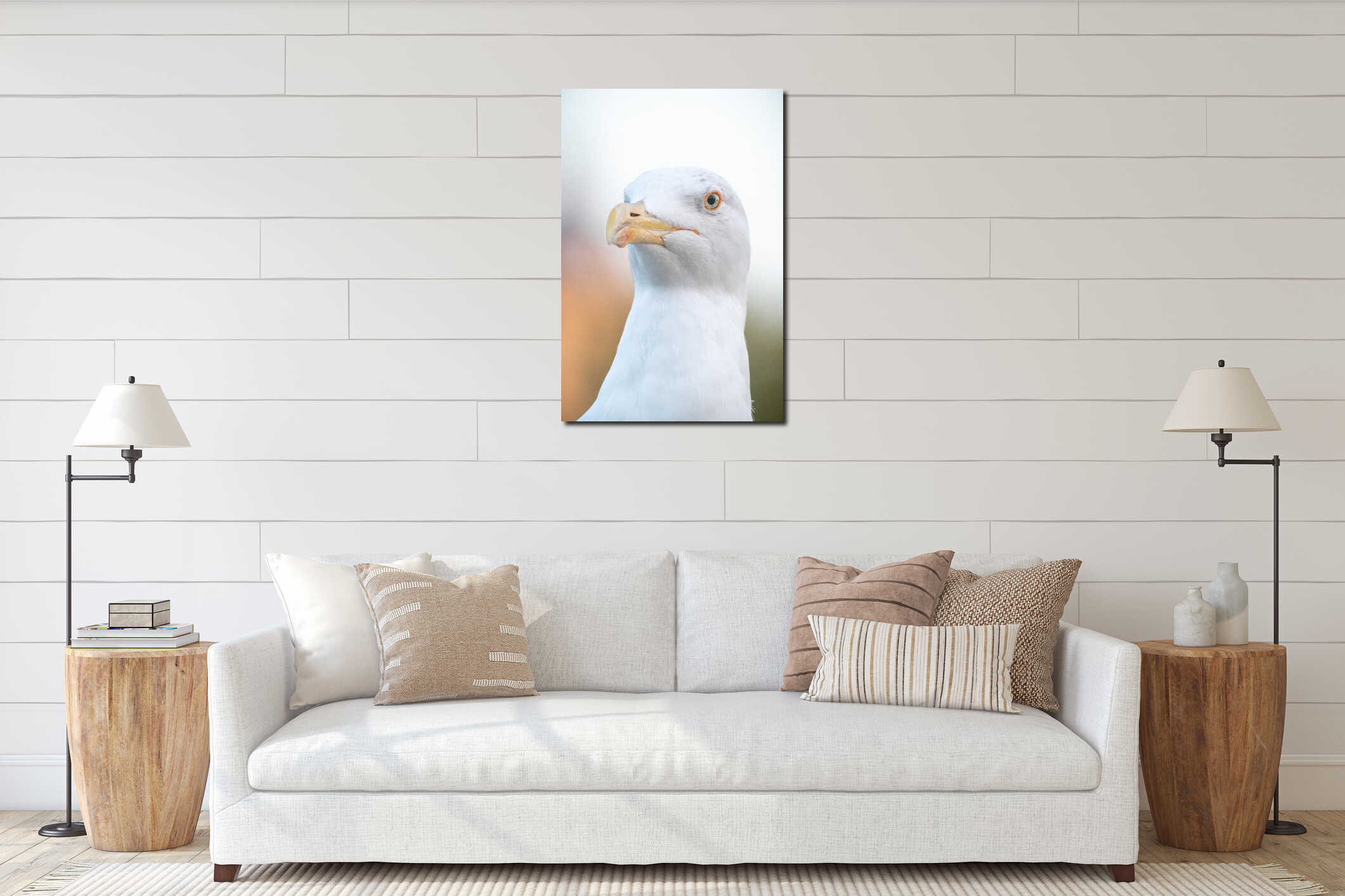 Seagull on the roof near the Colosseum Rome interior mockup