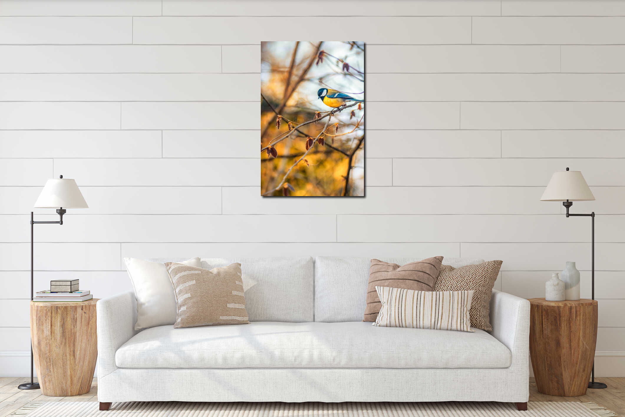 Blue tit bird on a branch in Turin Italy, during autumn interior mockup