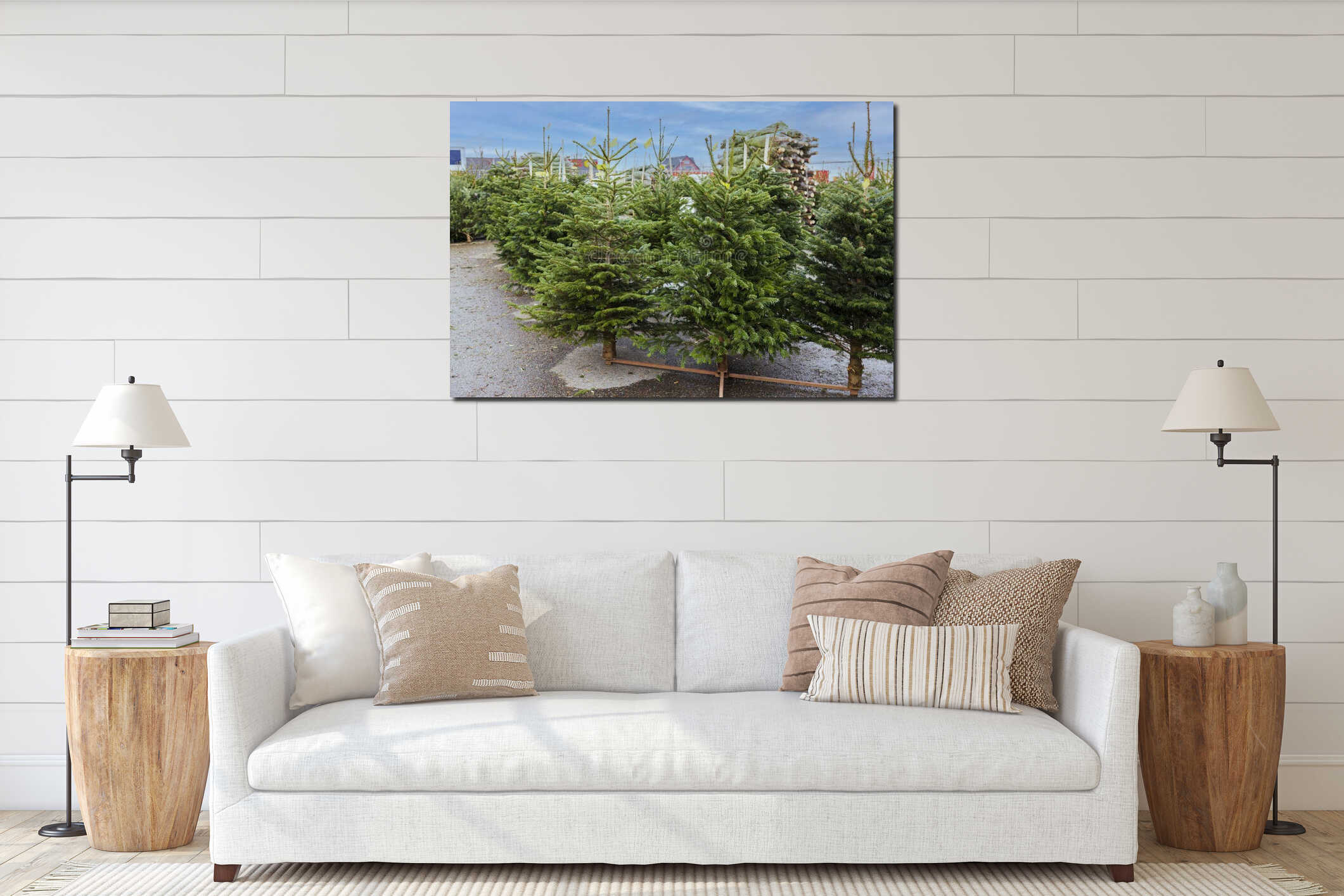 Beautiful view of Christmas tree market. Gorgeous  green trees on blue sky background. interior mockup