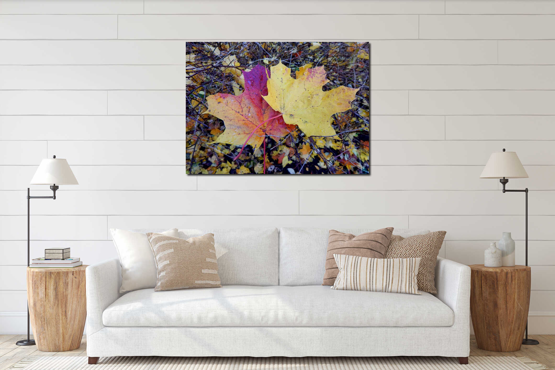 Two fallen maple leaves yellow and red on the ground among leaves and thin branches interior mockup