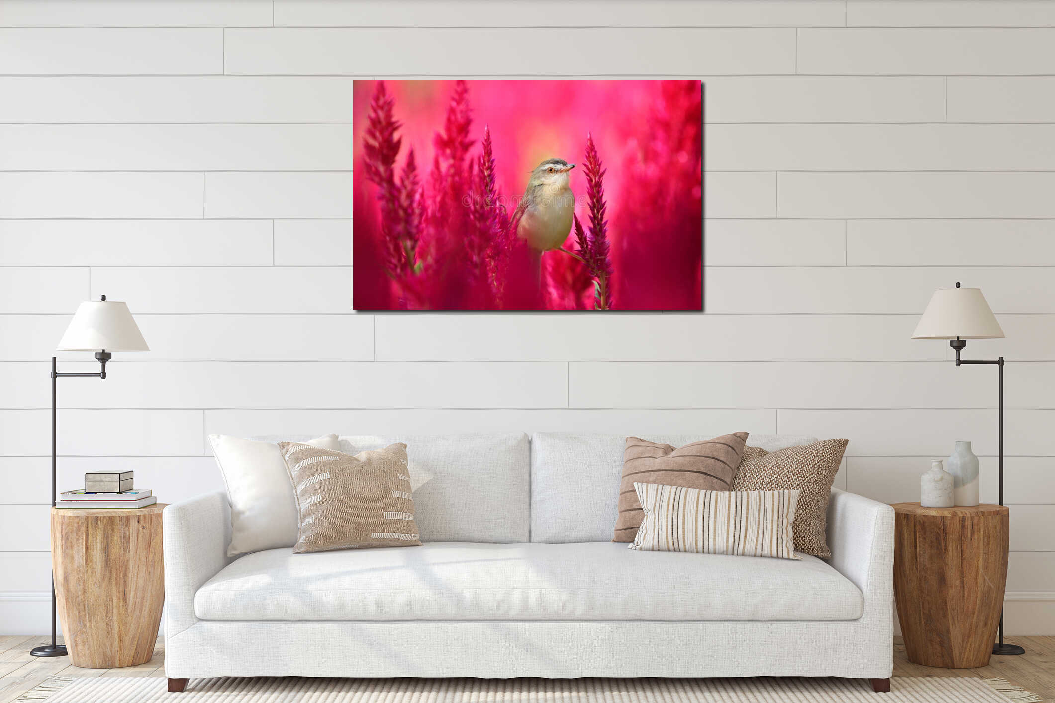 A small, brown bird perched on the red flower Celosia, Plumed celosia, with sunlight in the morning interior mockup