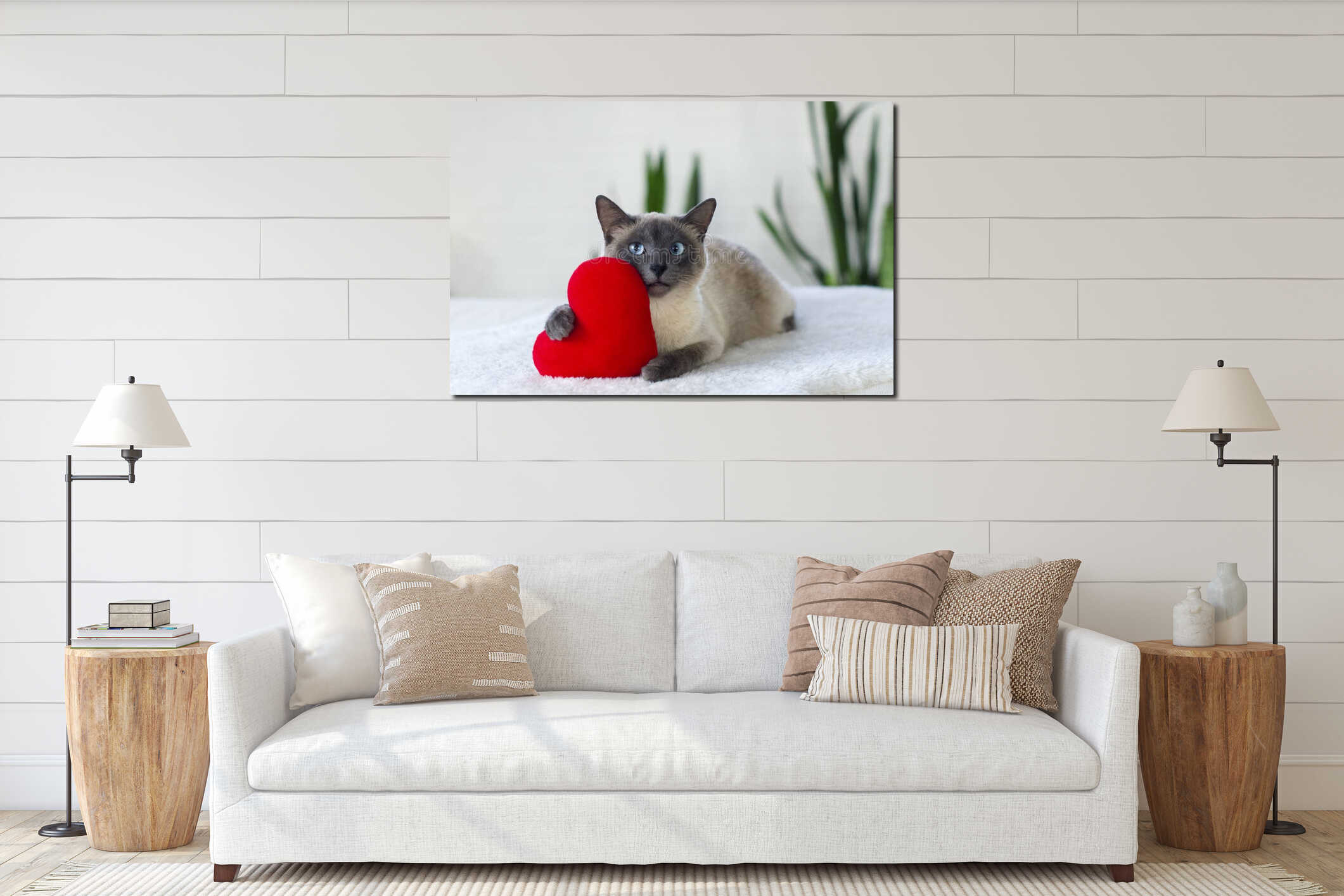 Cat with soft plush heart toy.  Love, Valentine day, pets friendly and care concept. Selective focus interior mockup