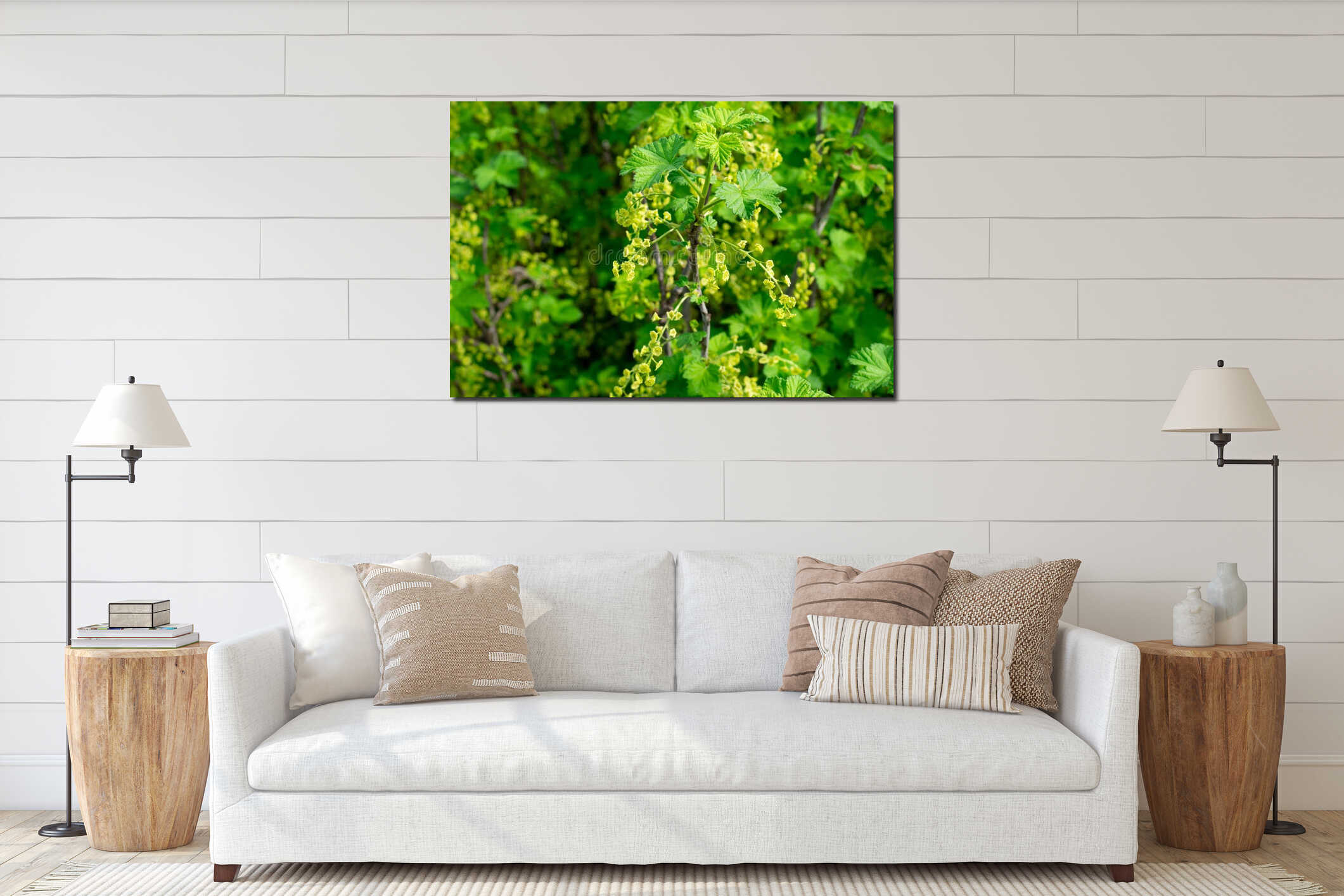 Young green flowers of red currant at spring time on bright sunlight. Blooming interior mockup