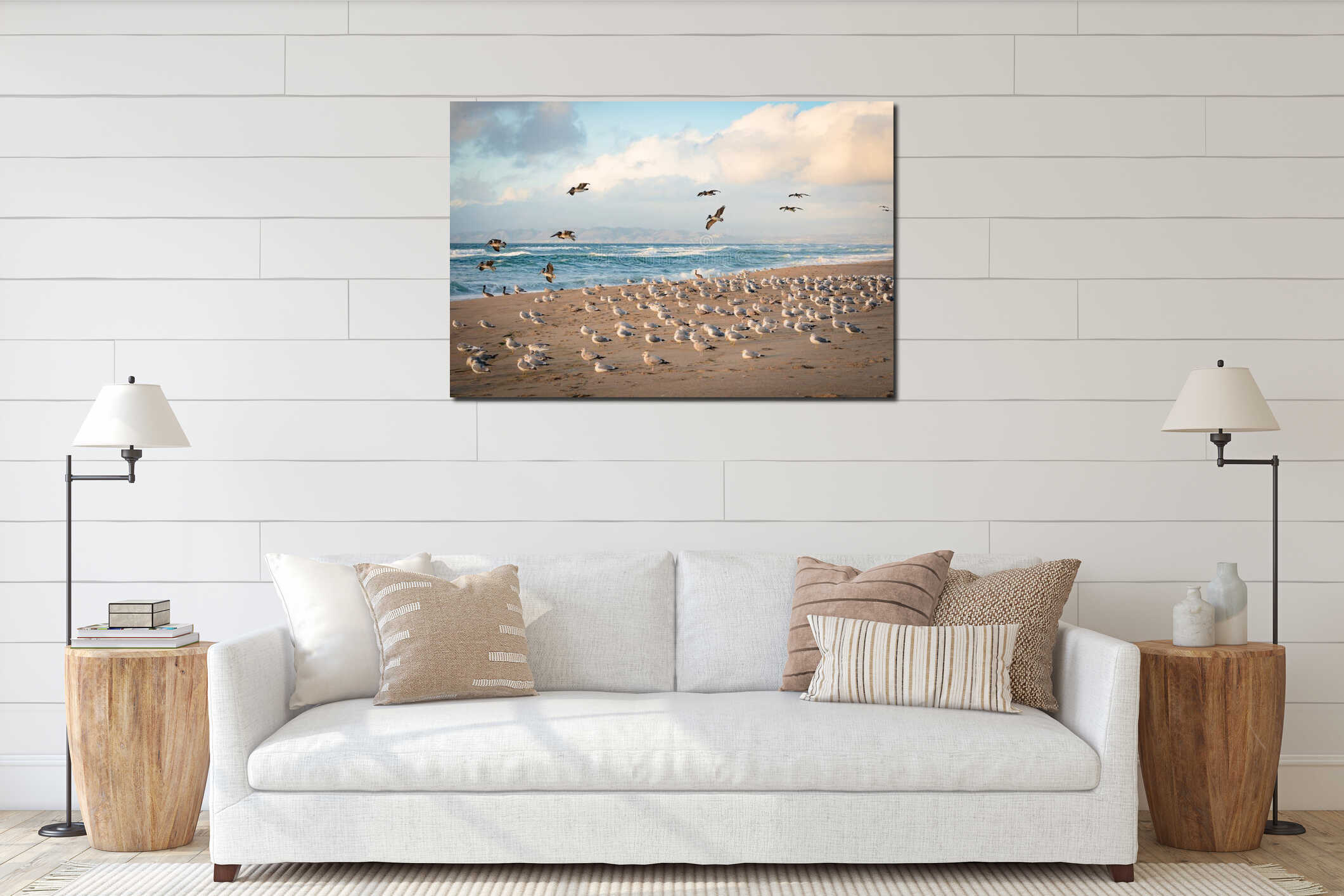 Colony of sea birds on the beach at sunset, brown pelicans and flock of seagulls, CA interior mockup