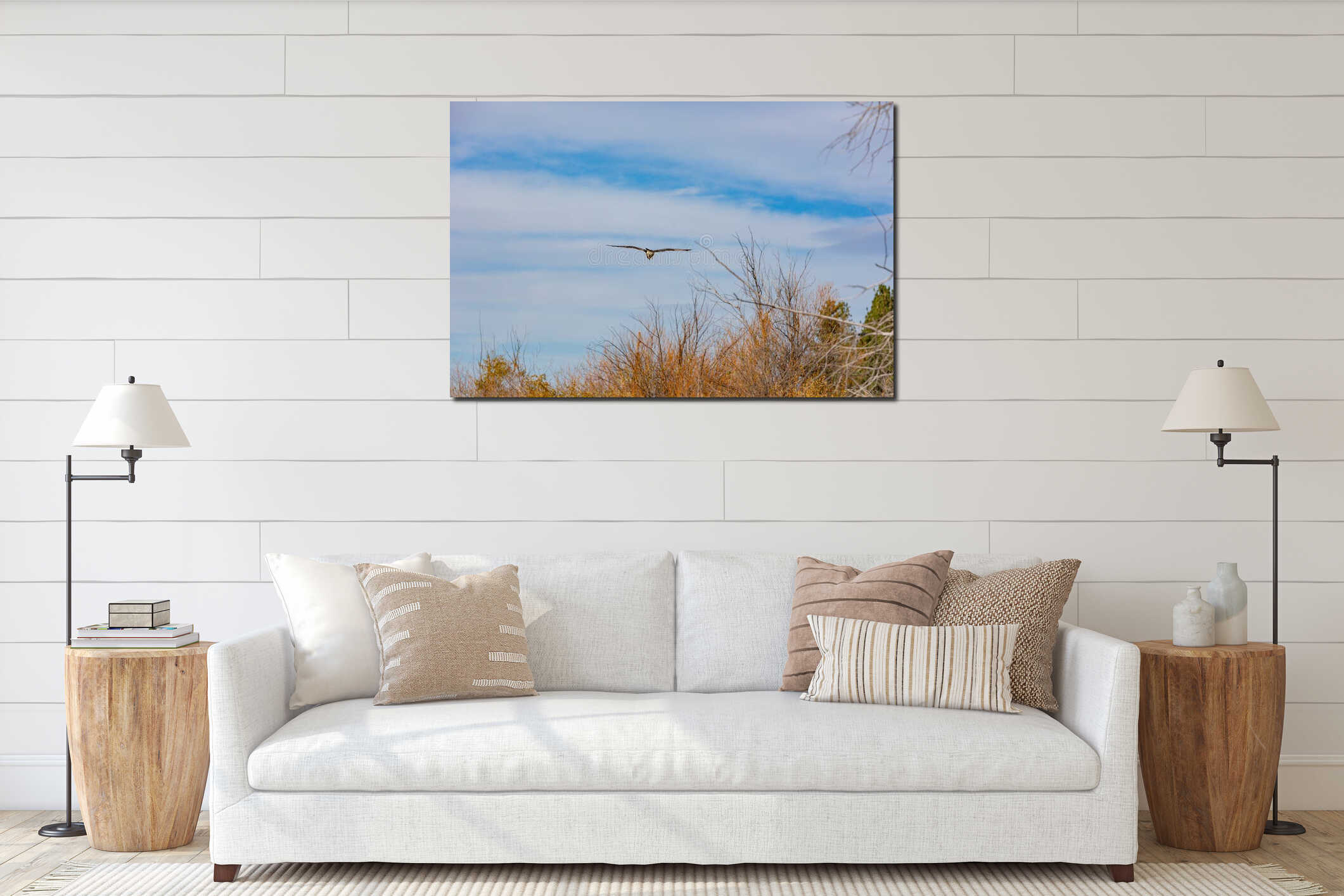 Close up shot of seagull flying in the sky interior mockup