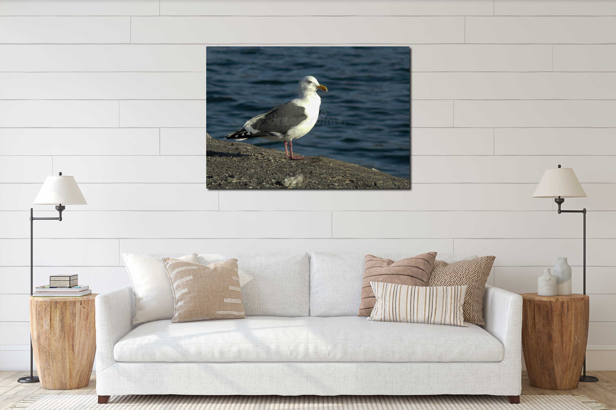 White bird seagull sitting on the ground interior mockup