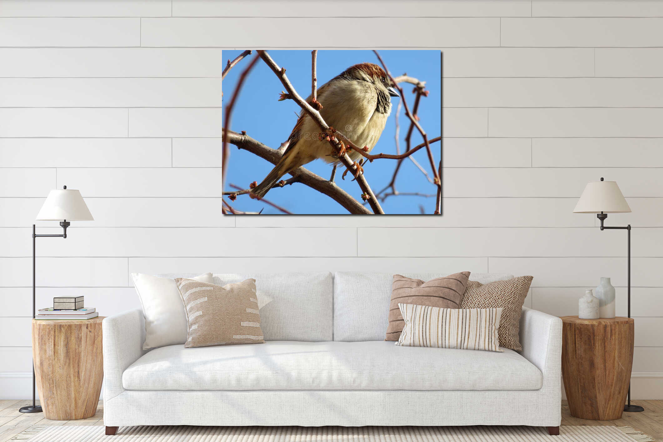 White and Brown Bird Perched on a Twig interior mockup