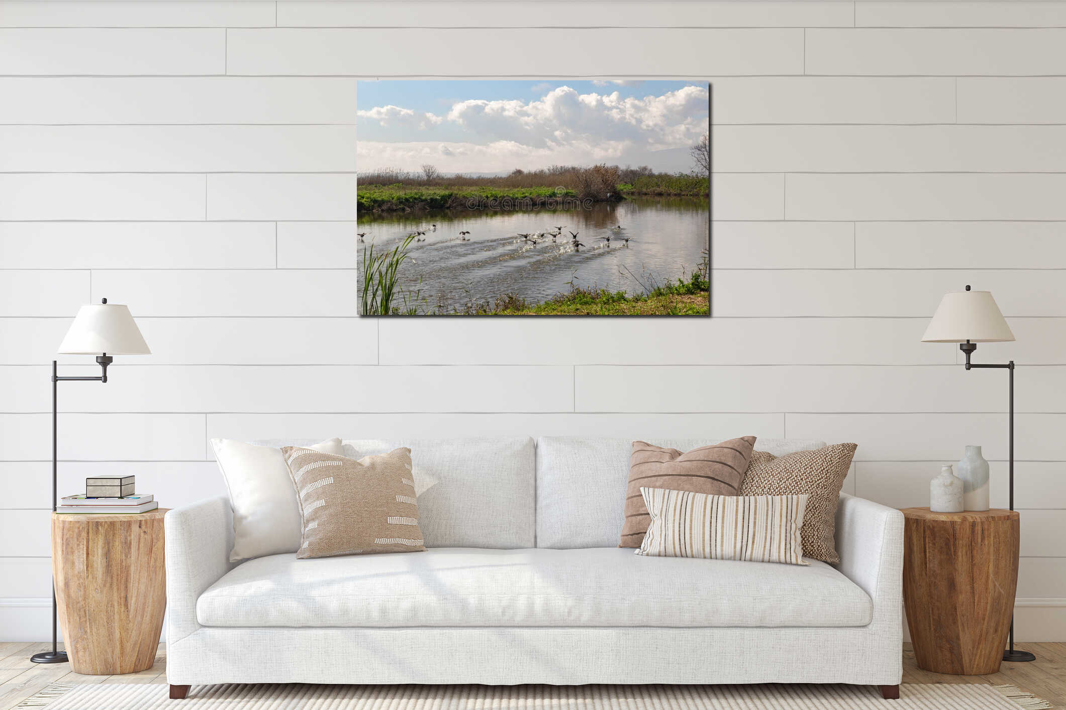 A small  flock of black migratory ducks takes off in the early morning from the water surface of a reservoir in the nature reserve interior mockup